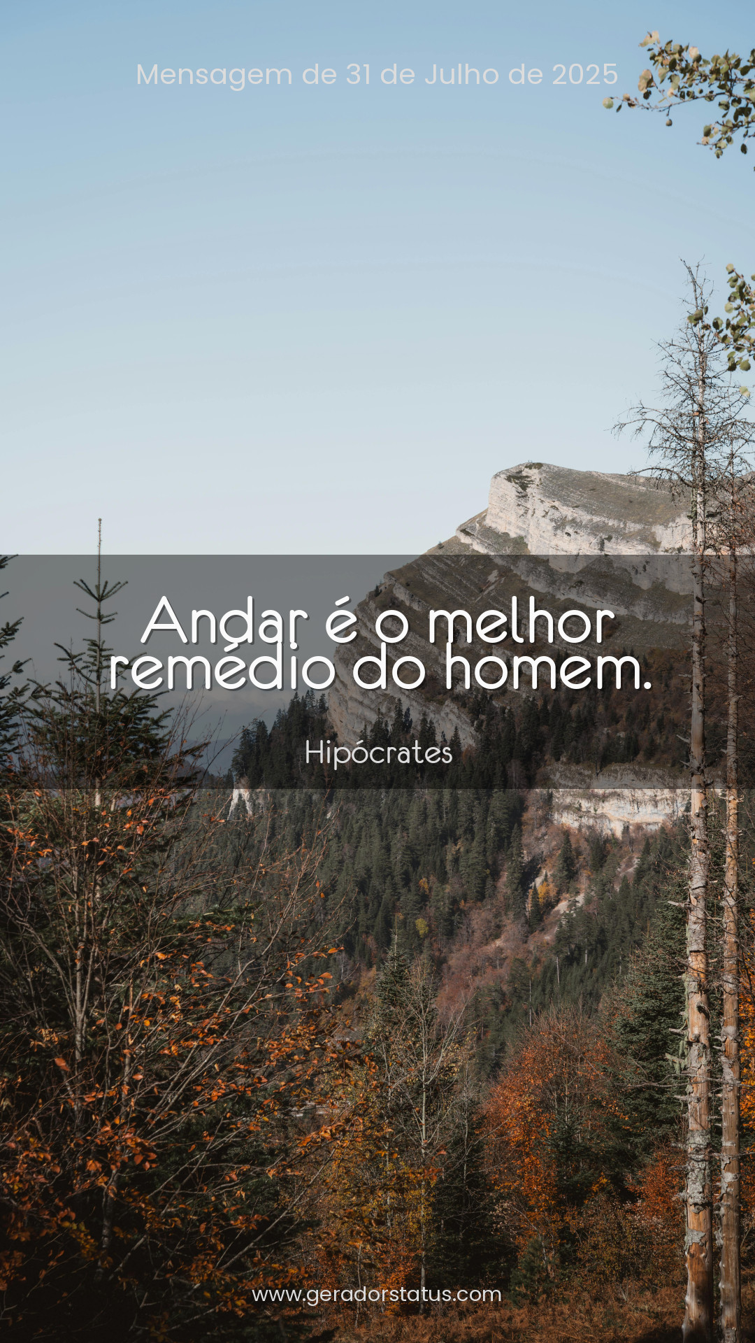 Status do dia: Citação