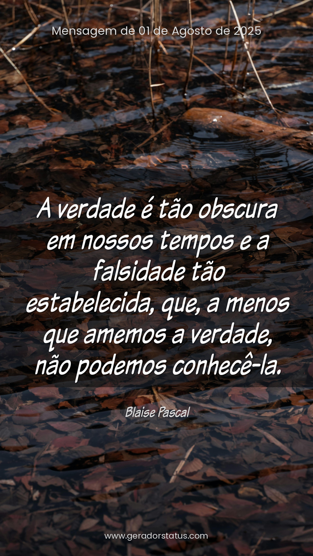 Status do dia: Reflexão