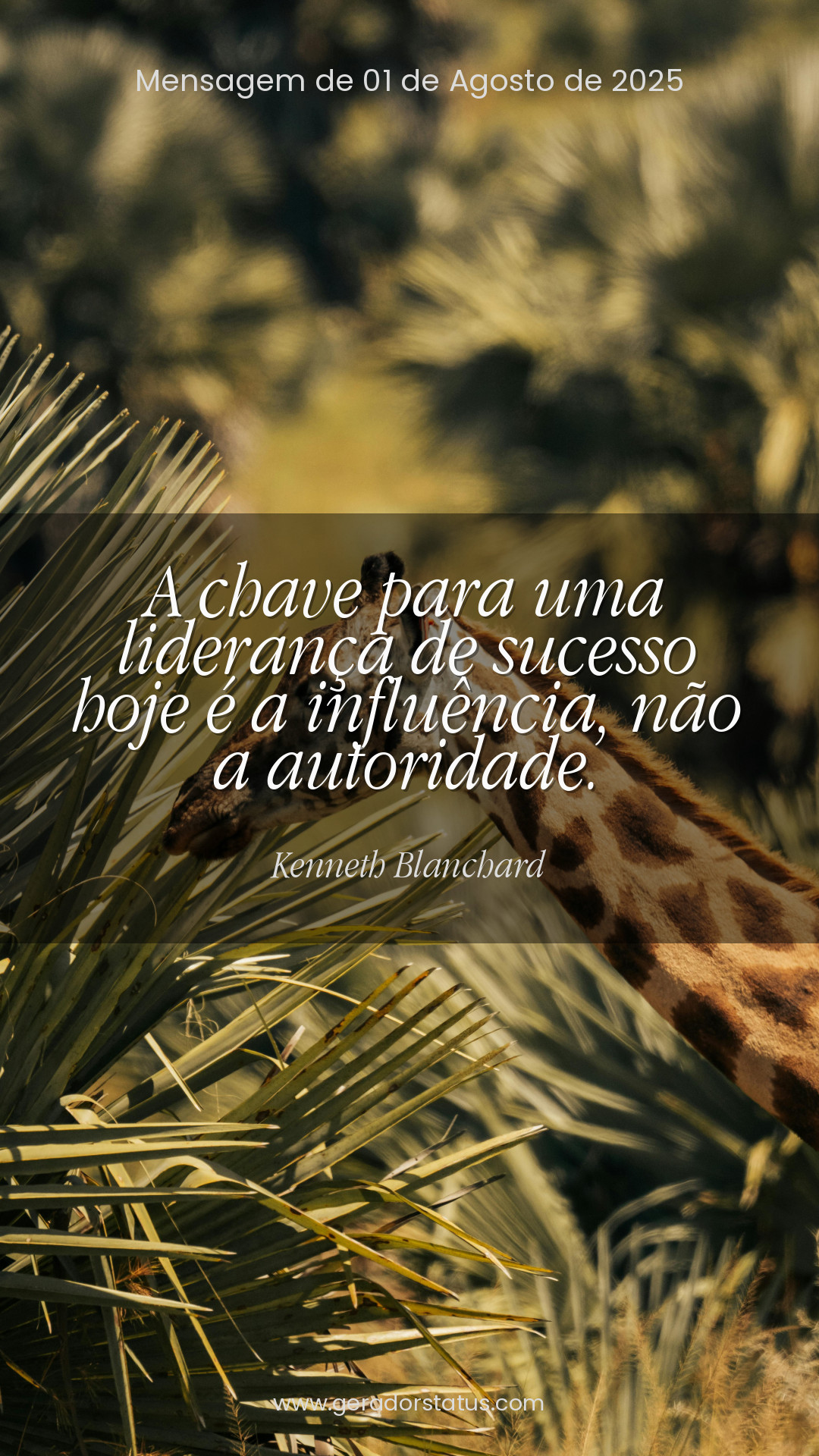 Status do dia: Citação