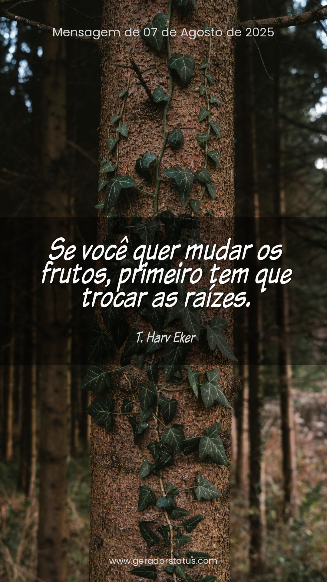 Status do dia: Sabedoria