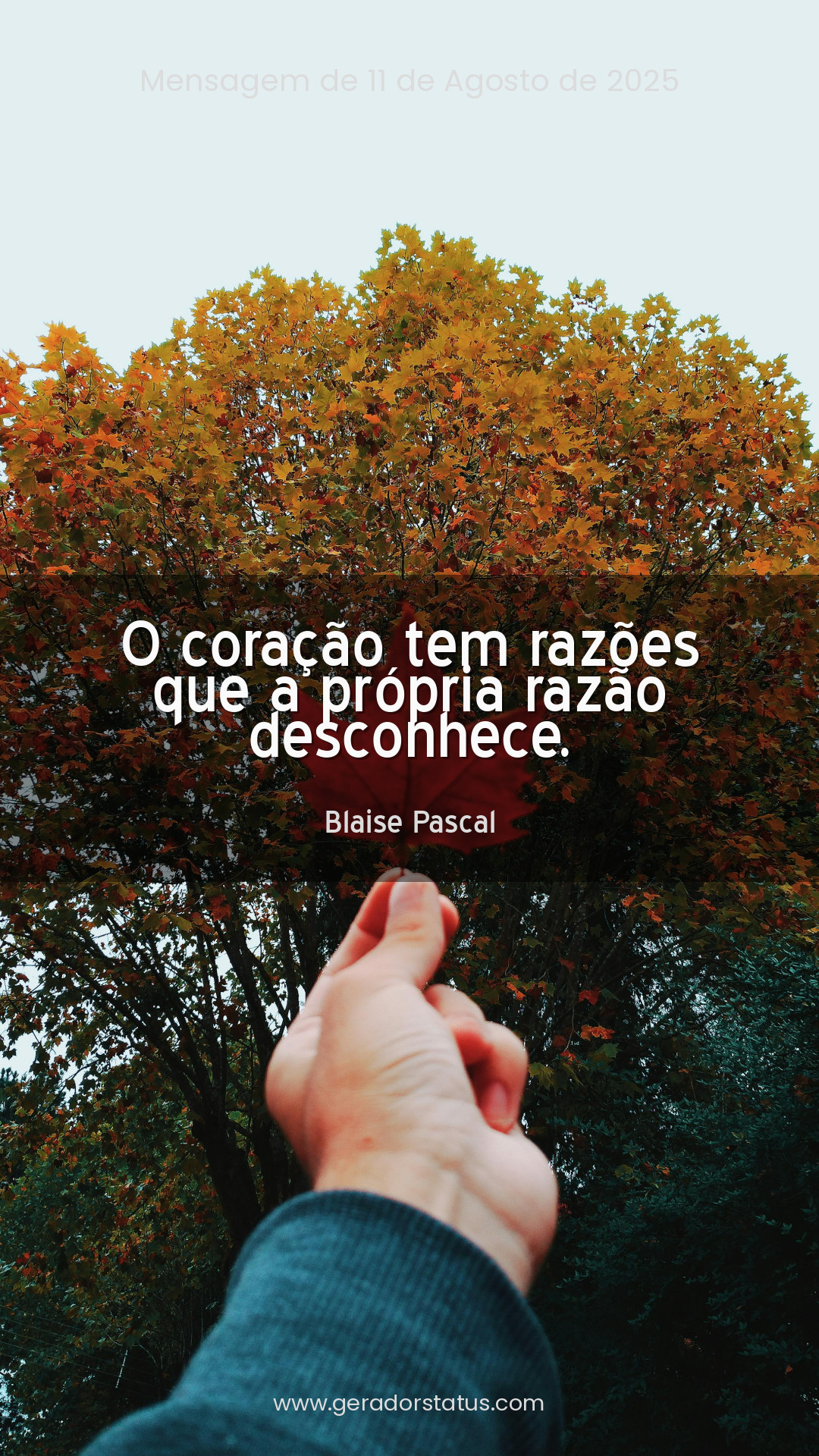 Status do dia: Reflexão