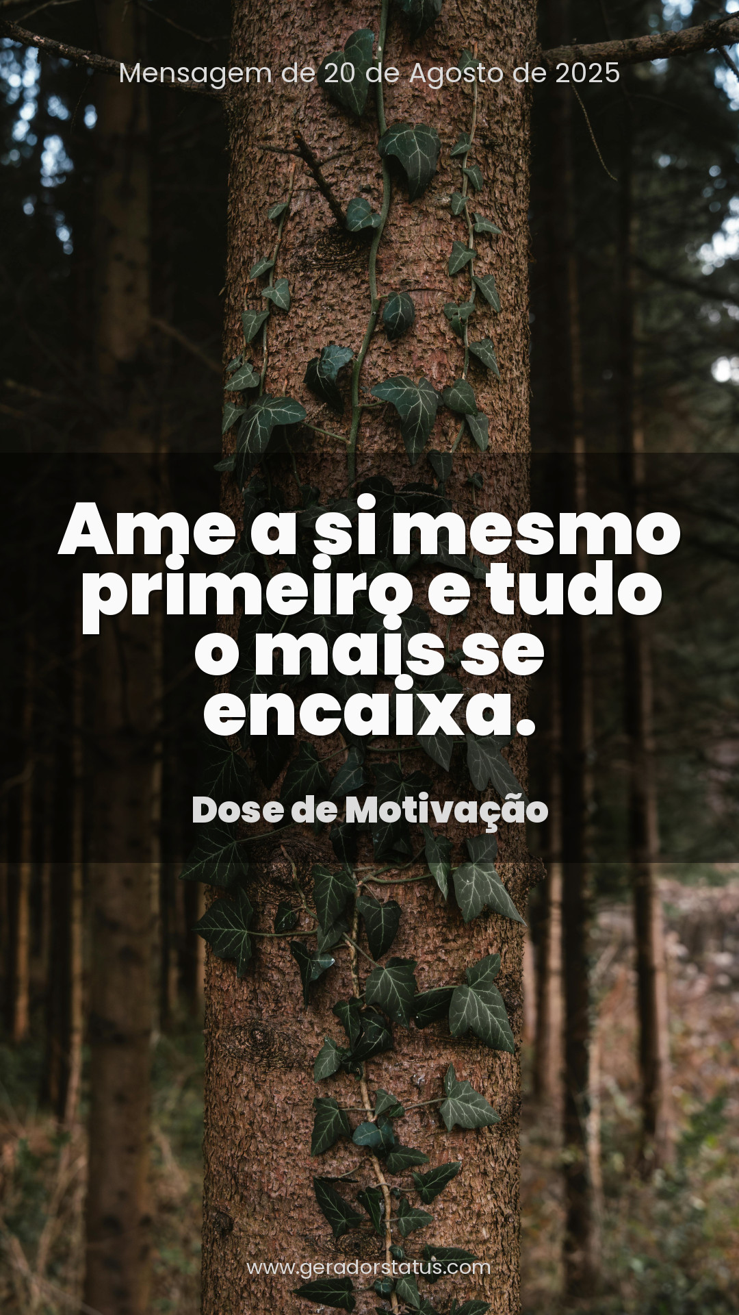 Status do dia: Motivacional