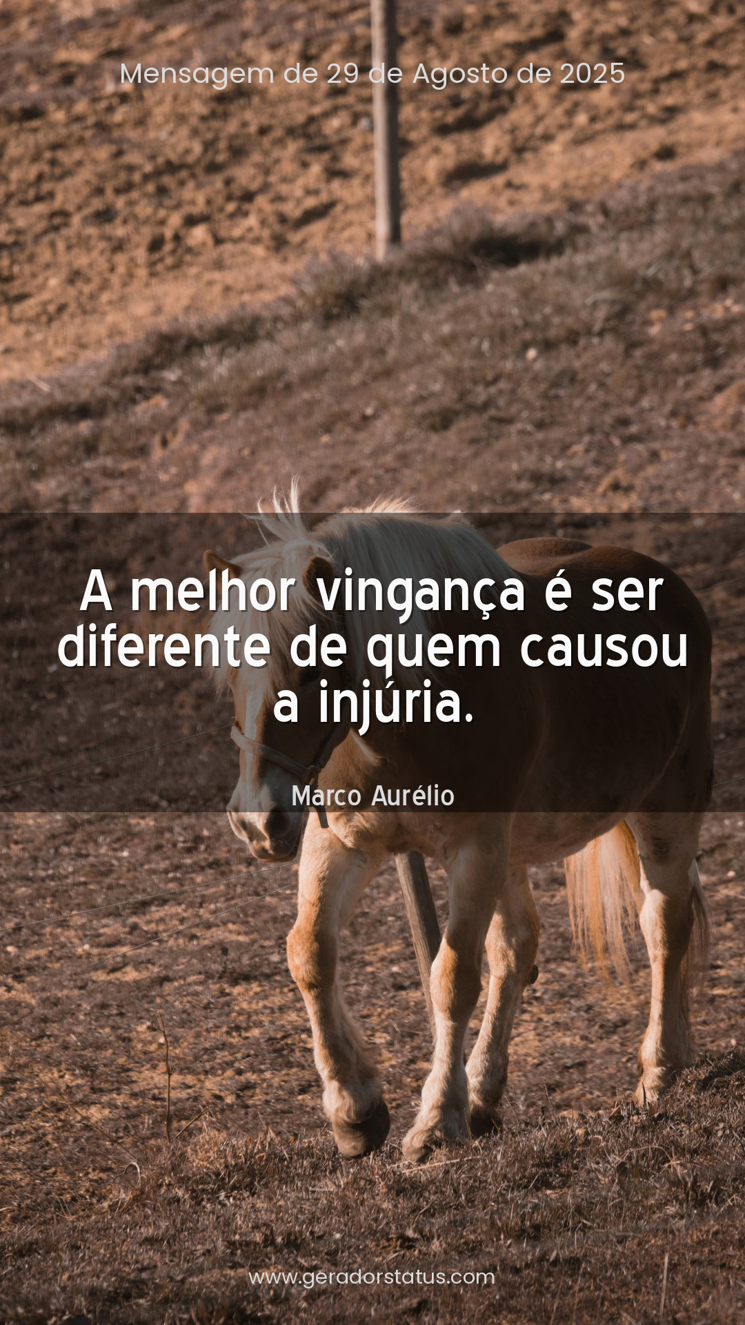 Status do dia: Reflexão