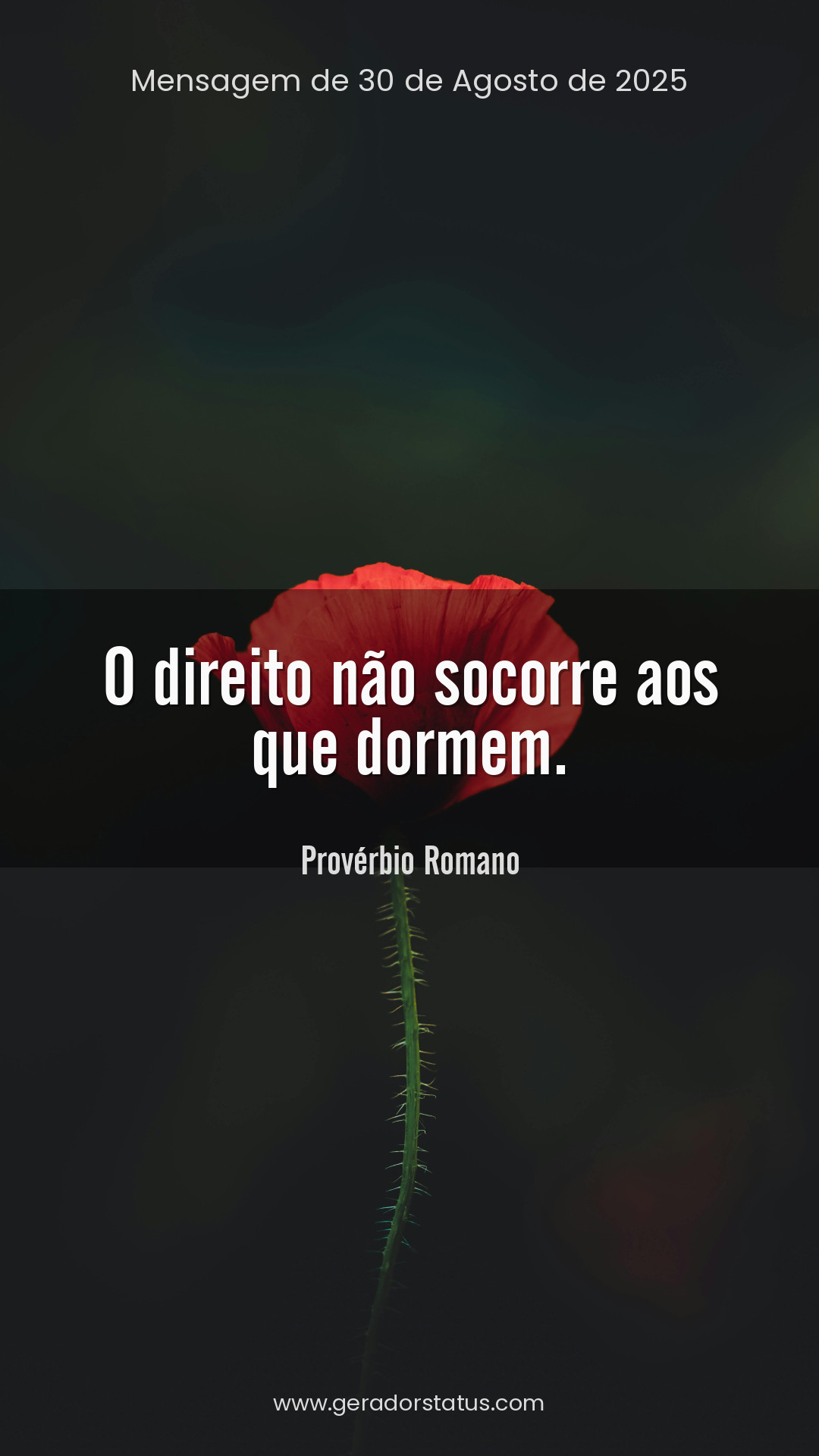 Status do dia: Citação