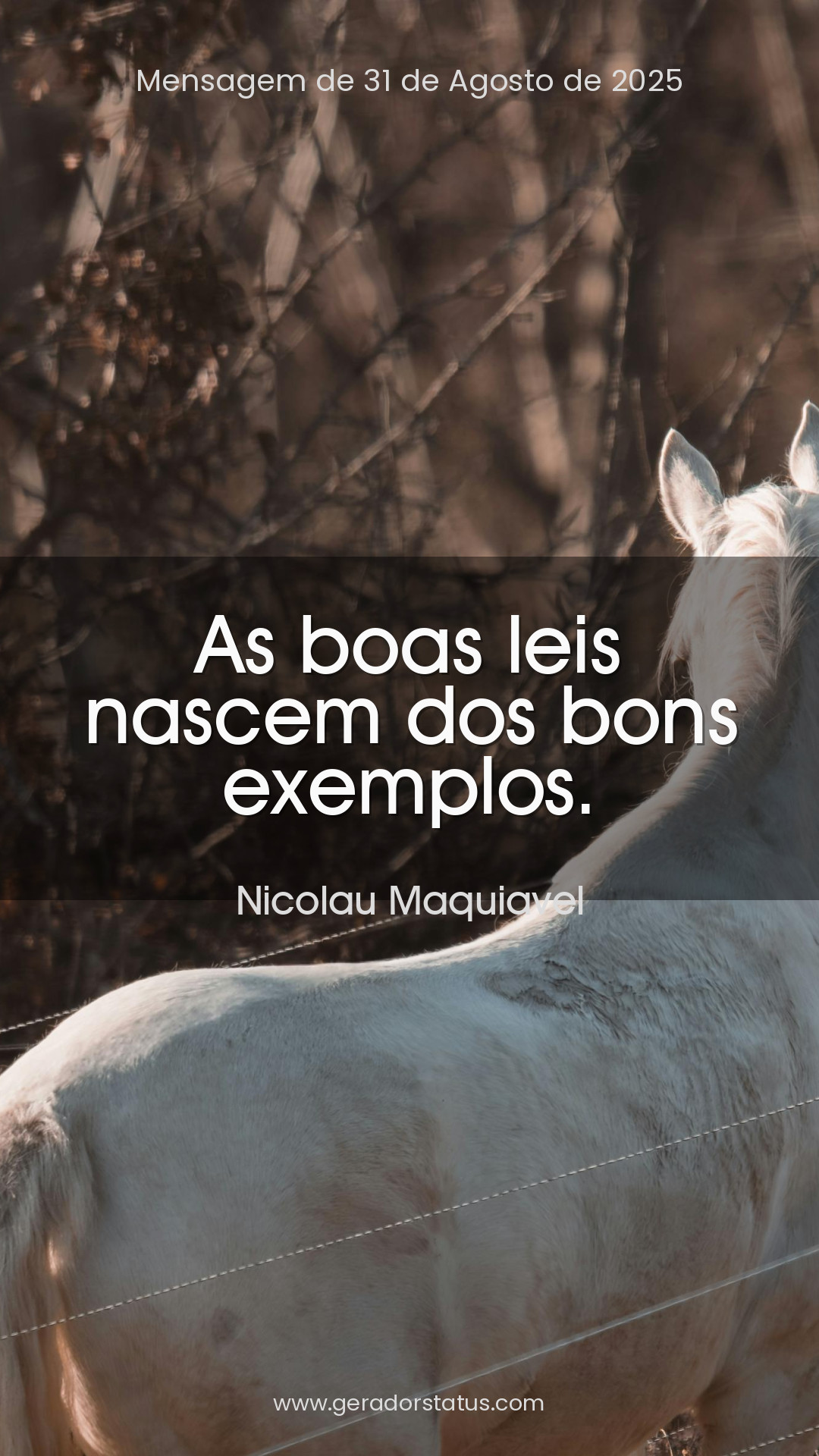 Status do dia: Sabedoria