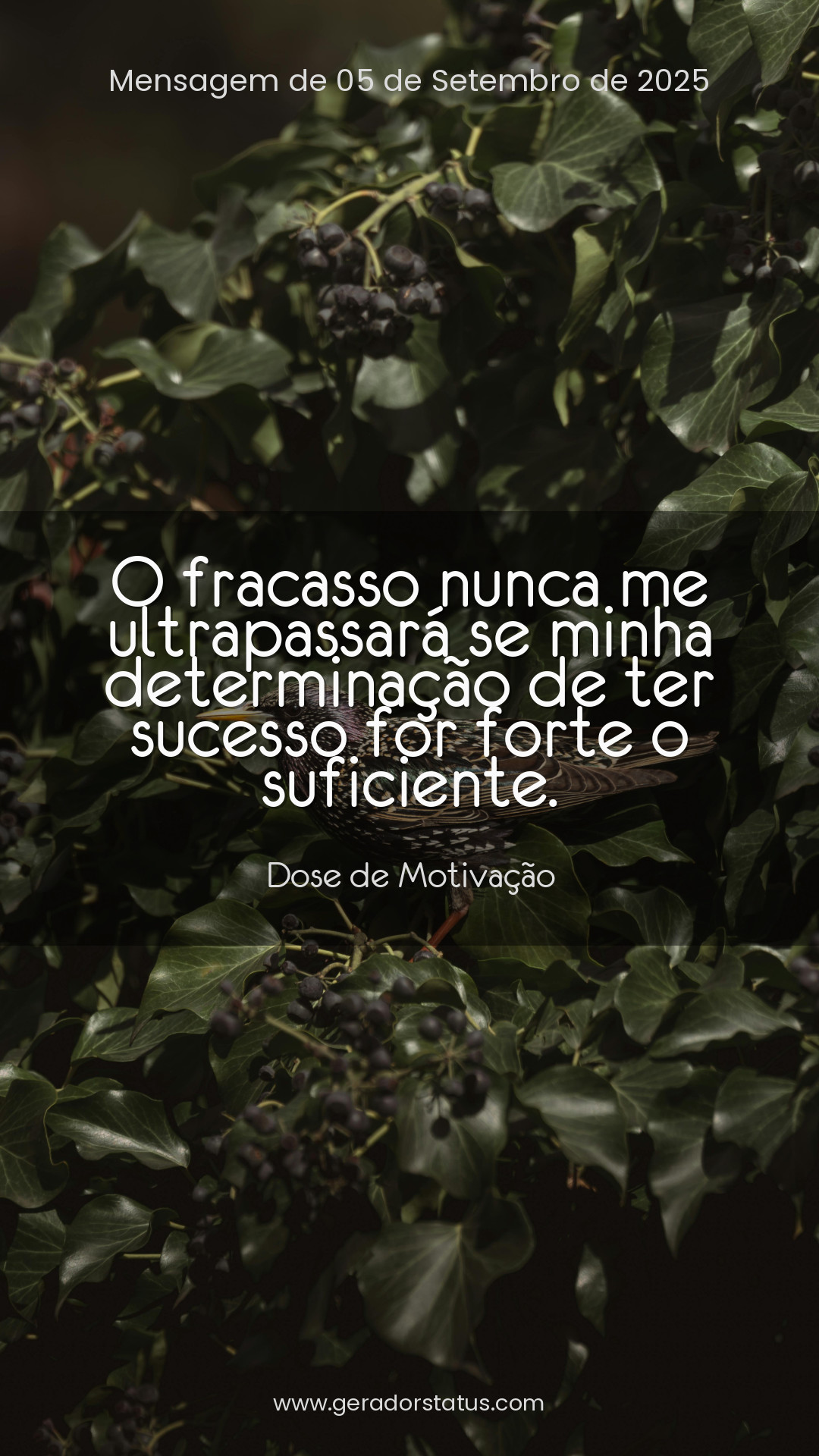 Status do dia: Motivacional