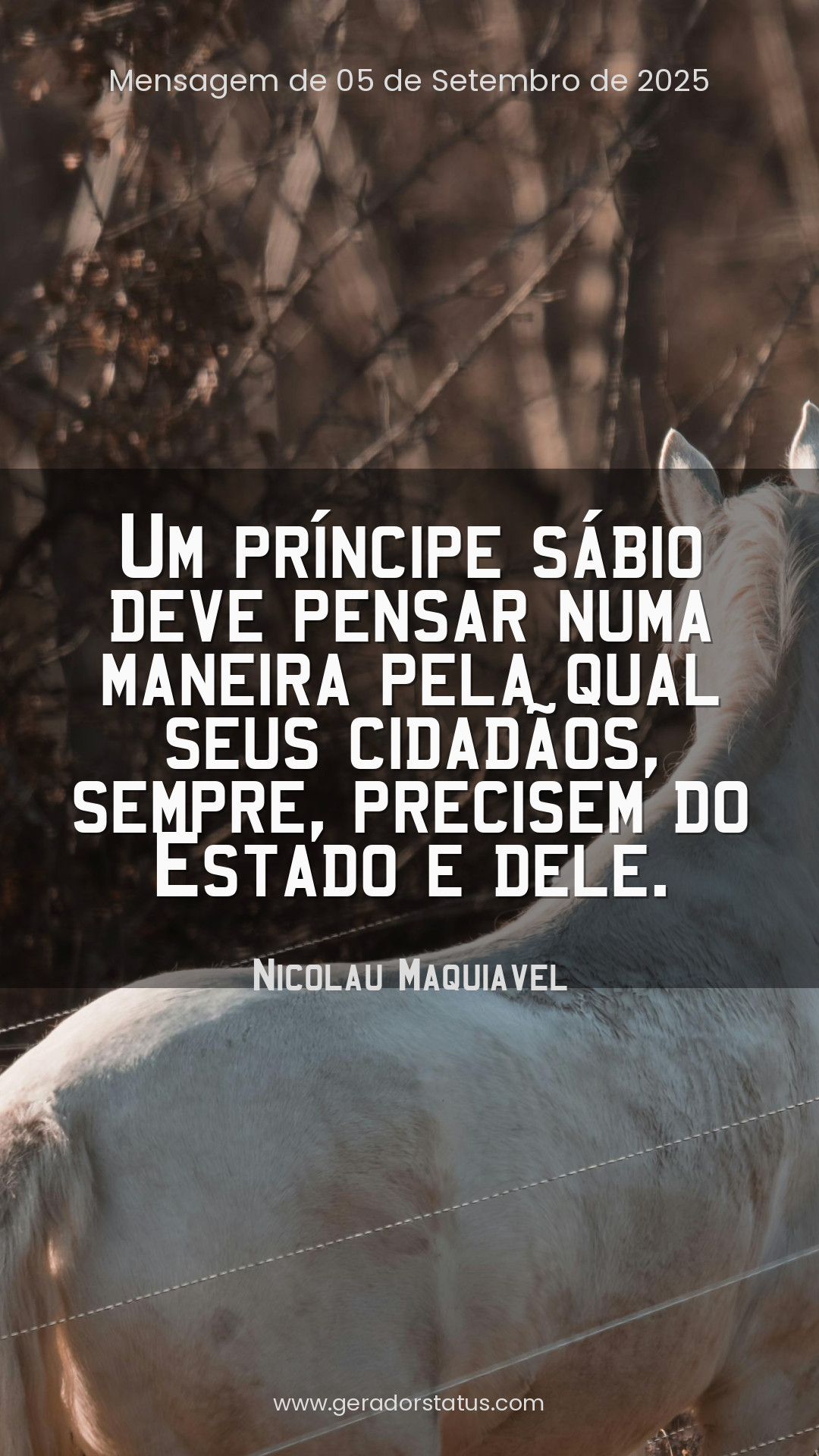 Status do dia: Sabedoria