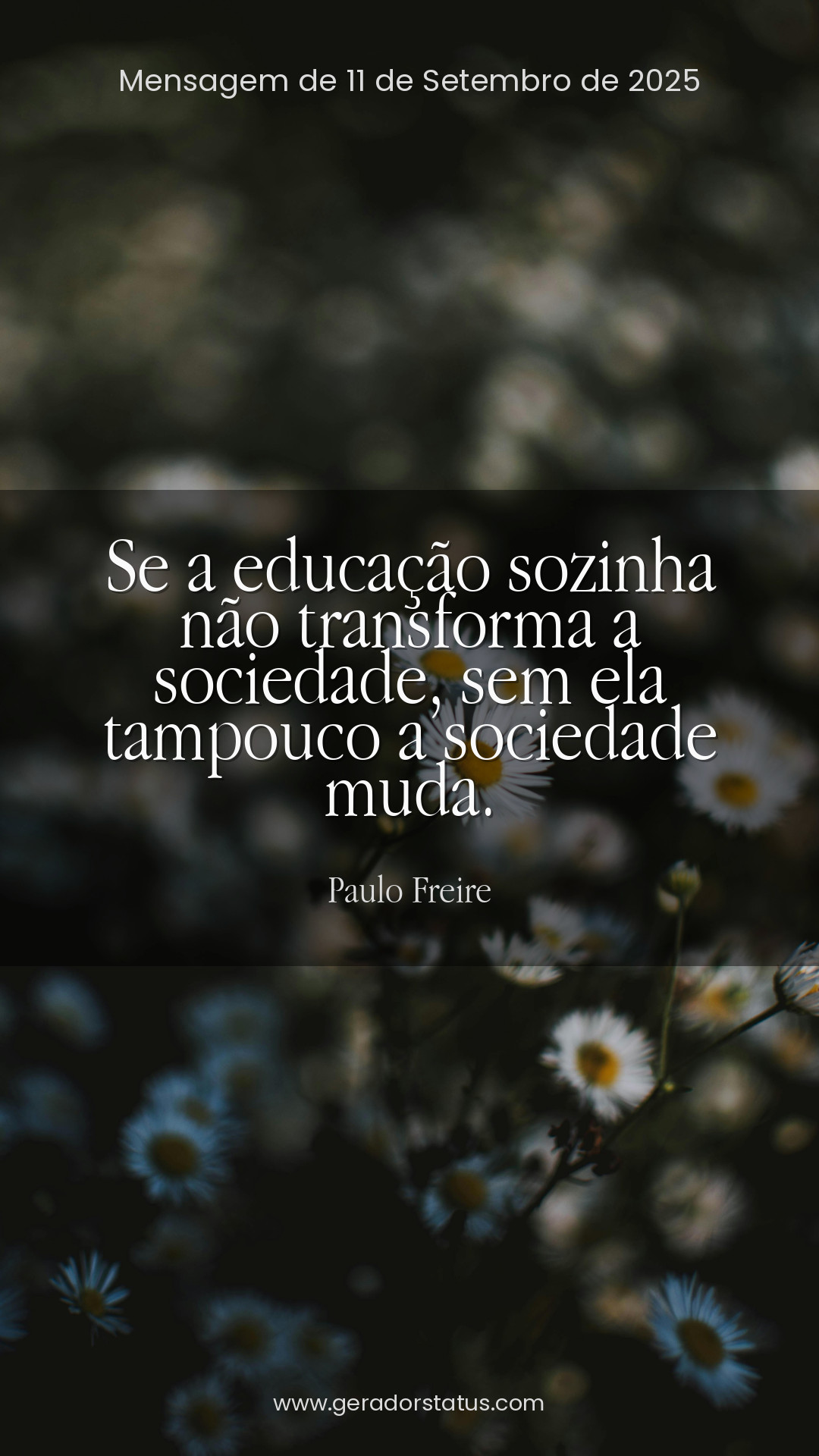 Status do dia: Citação