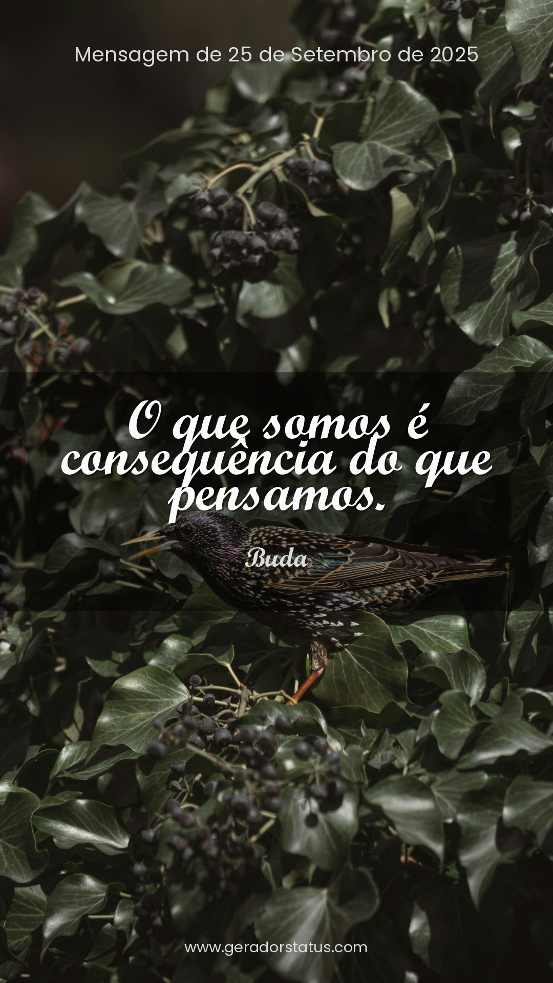 Status do dia: Reflexão