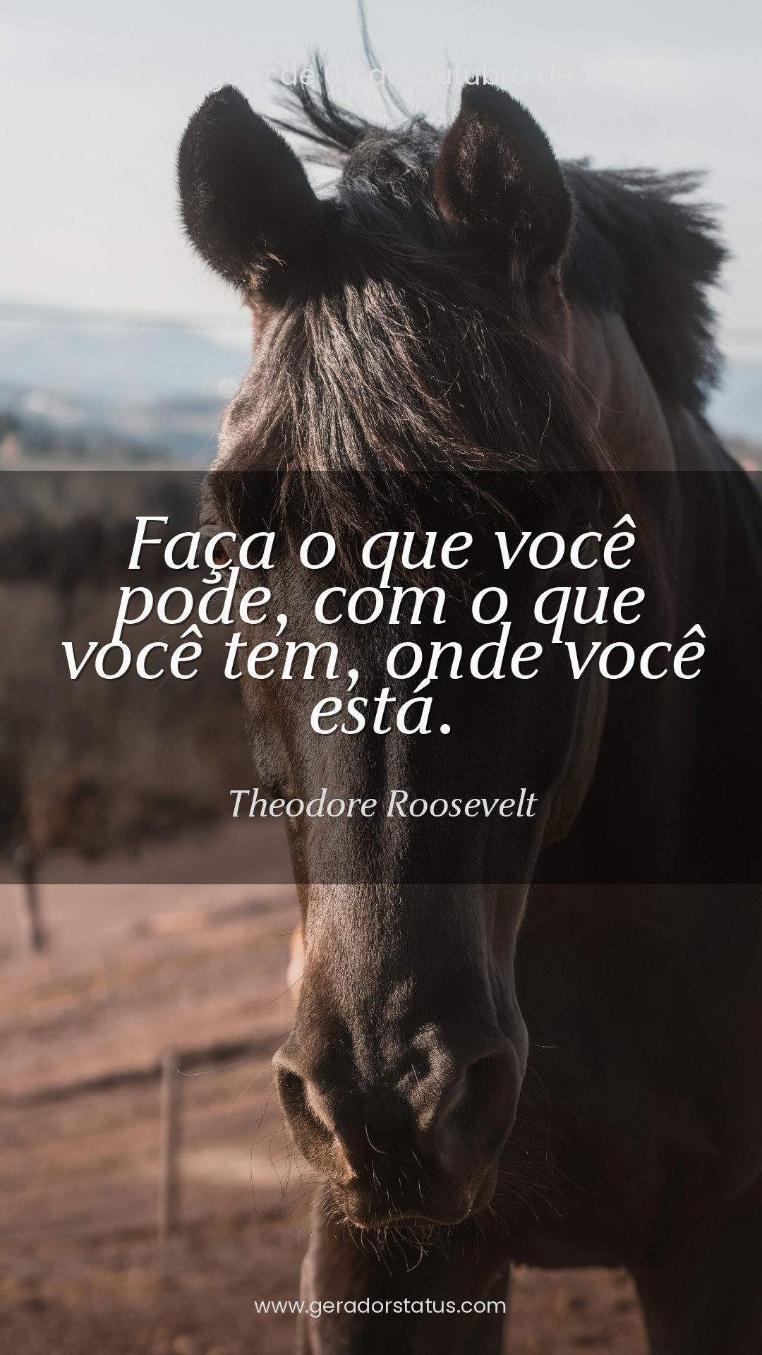 Status do dia: Reflexão