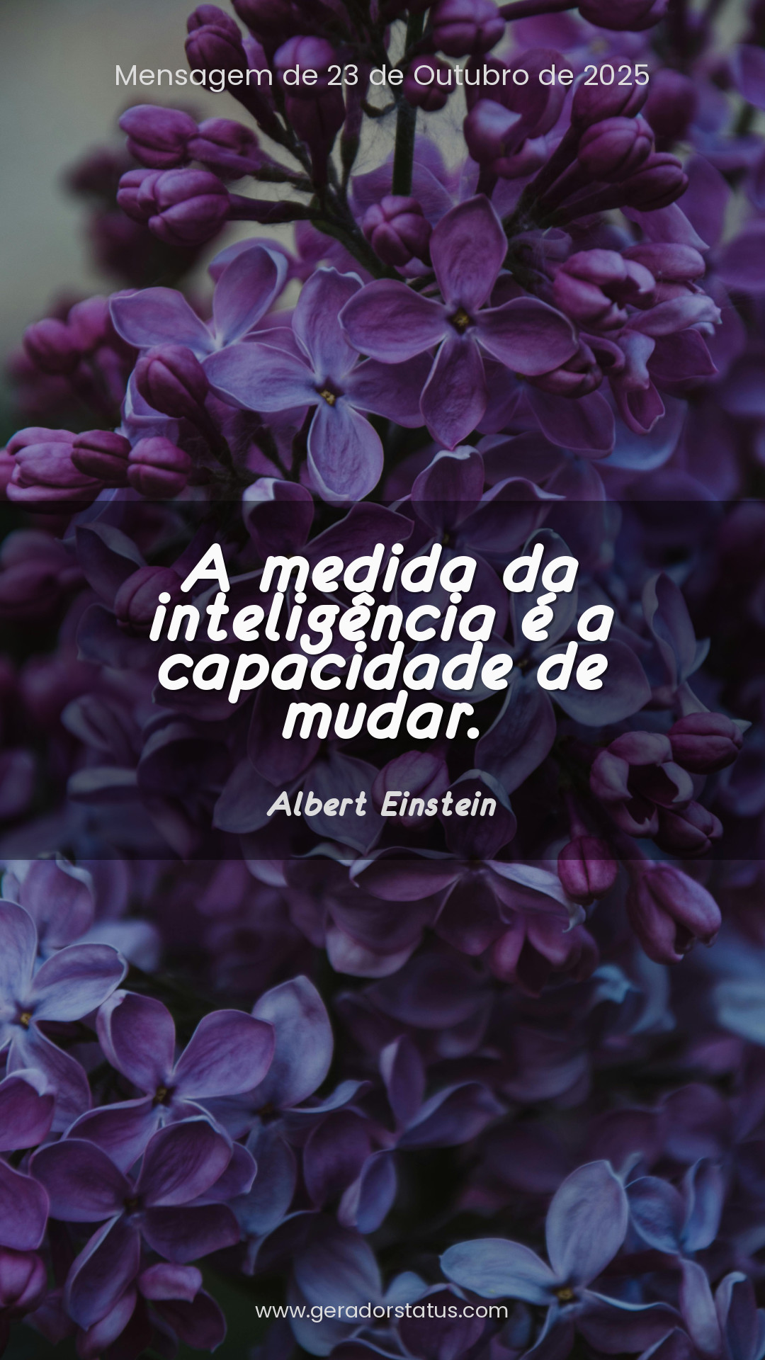 Status do dia: Reflexão