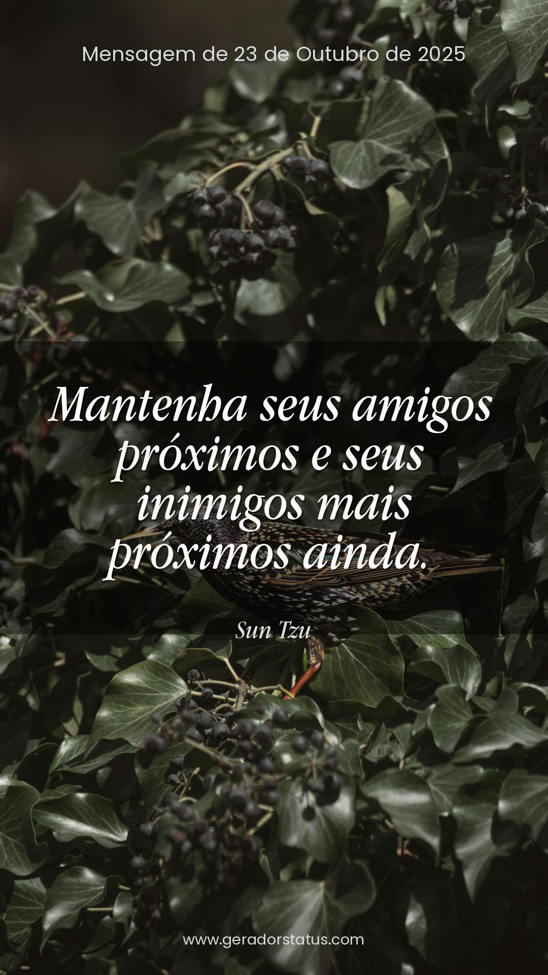 Status do dia: Sabedoria