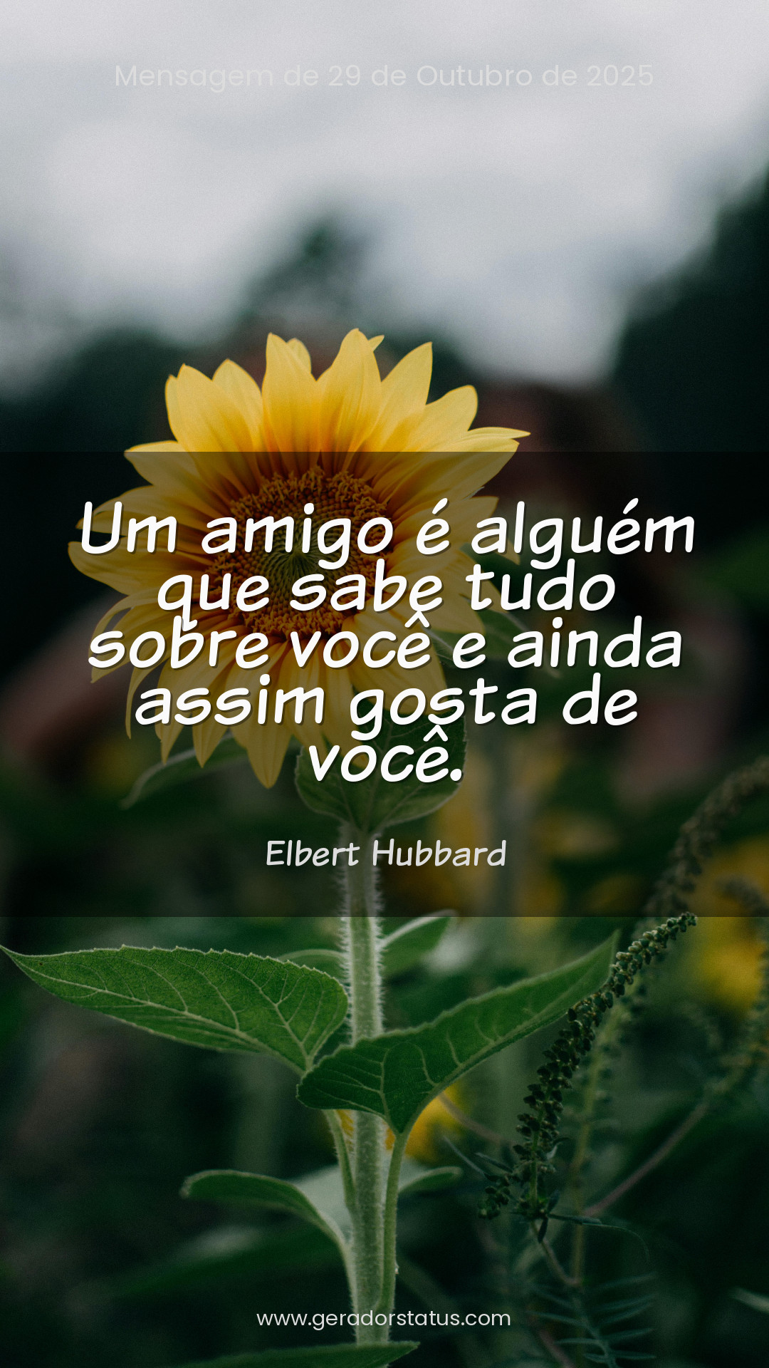 Status do dia: Citação