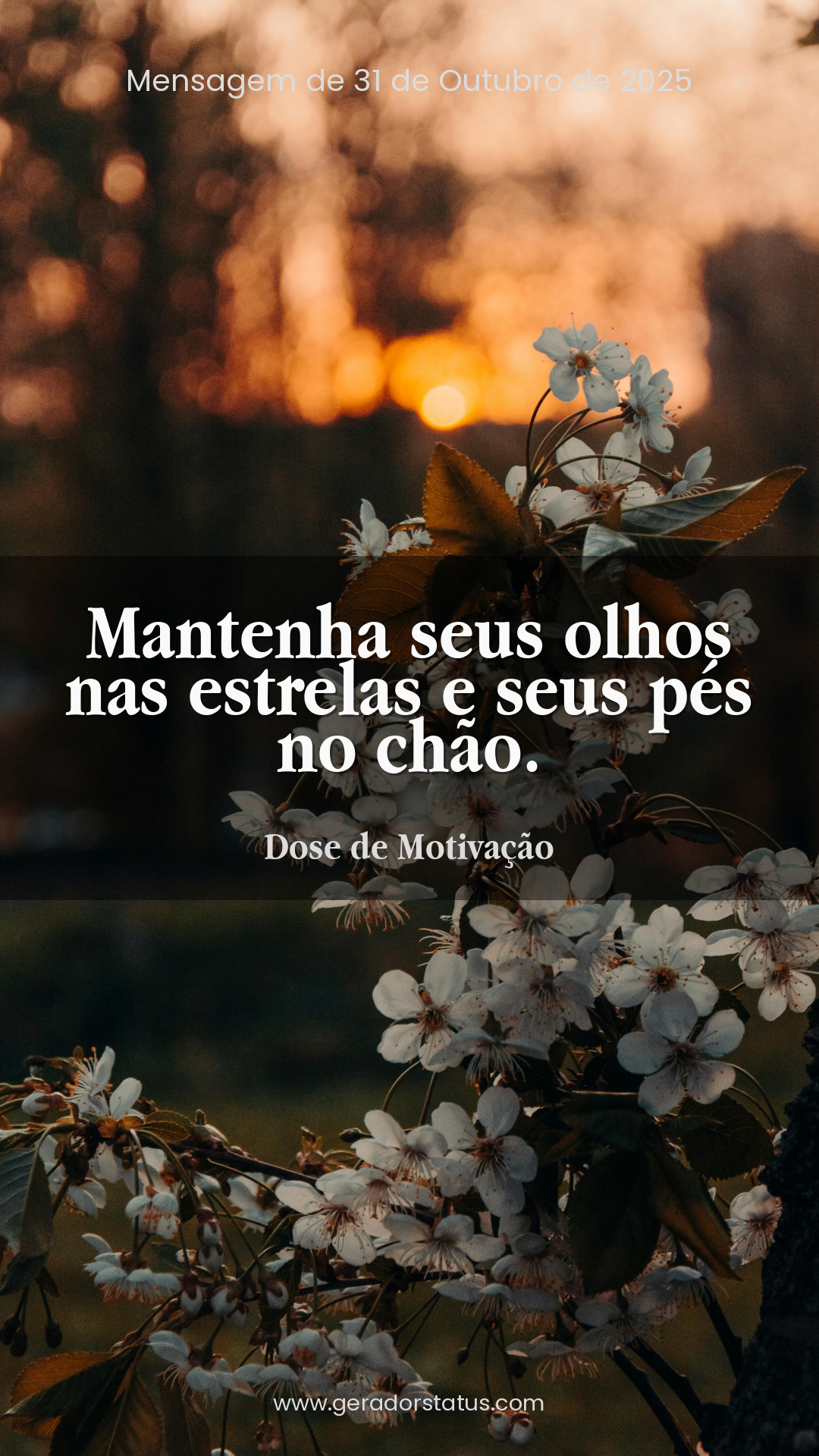 Status do dia: Motivacional