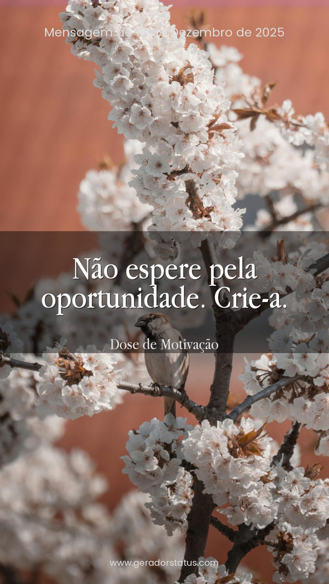 Status do dia: Motivacional