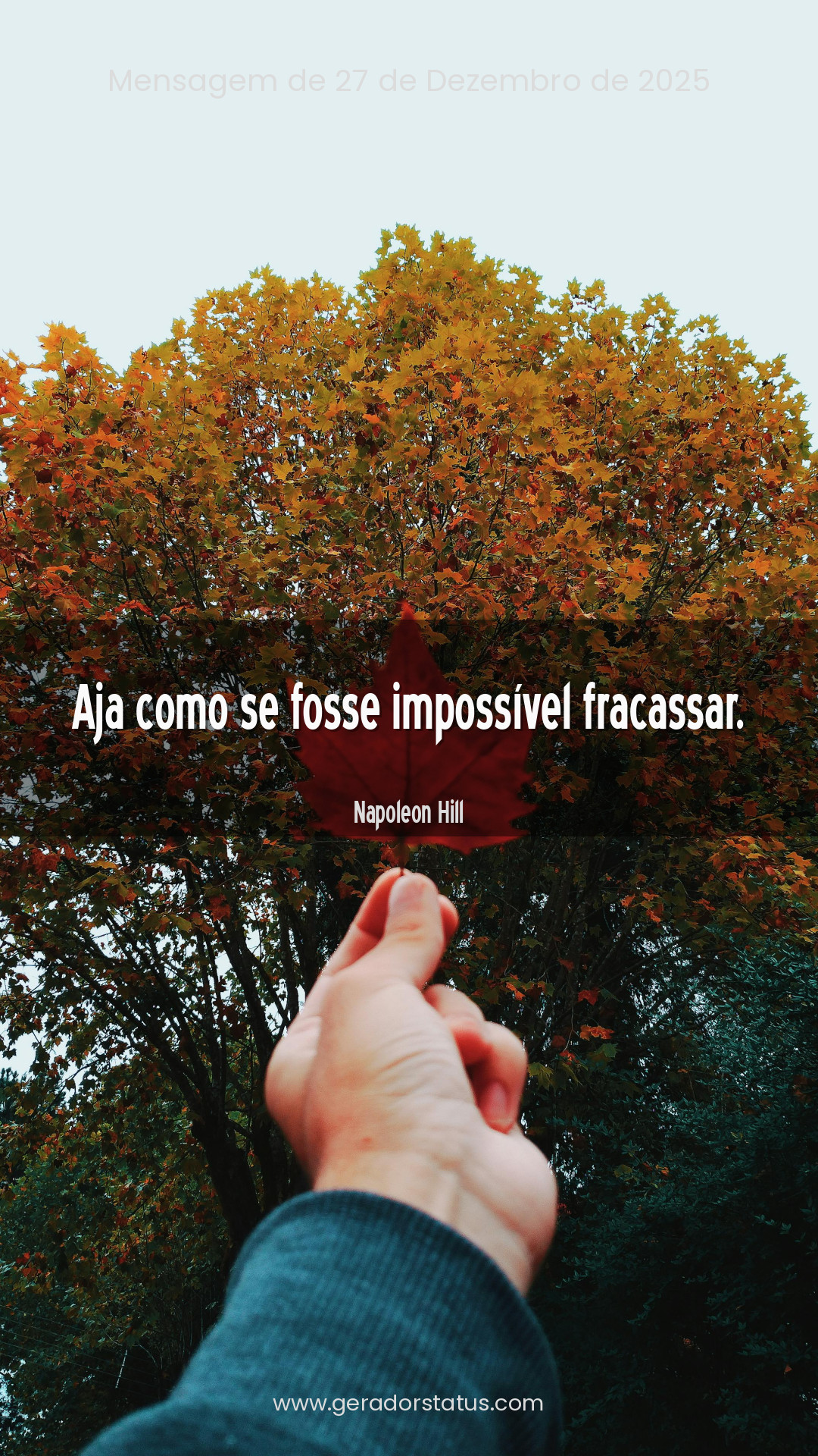 Status do dia: Sabedoria