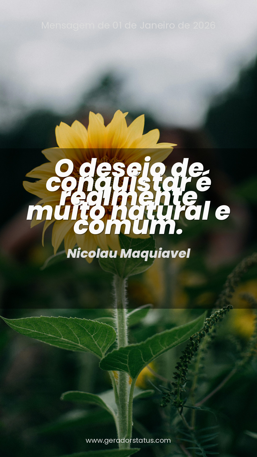 Status do dia: Sabedoria