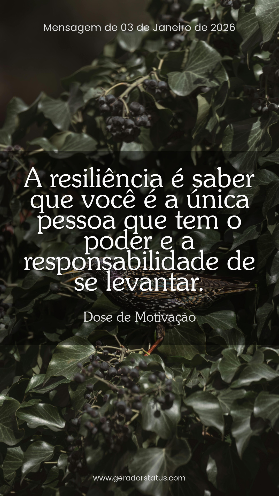 Status do dia: Motivacional