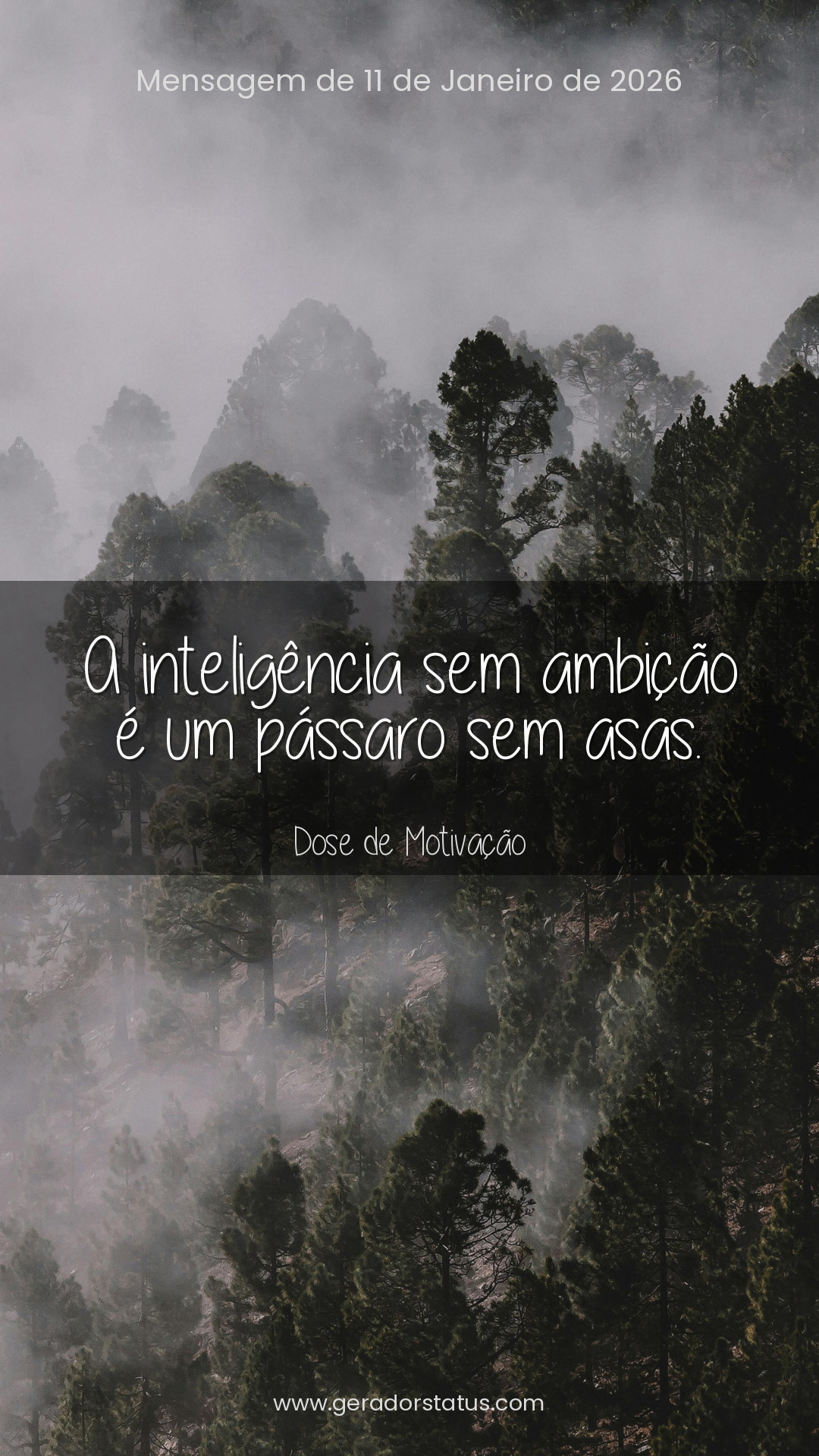 Status do dia: Motivacional