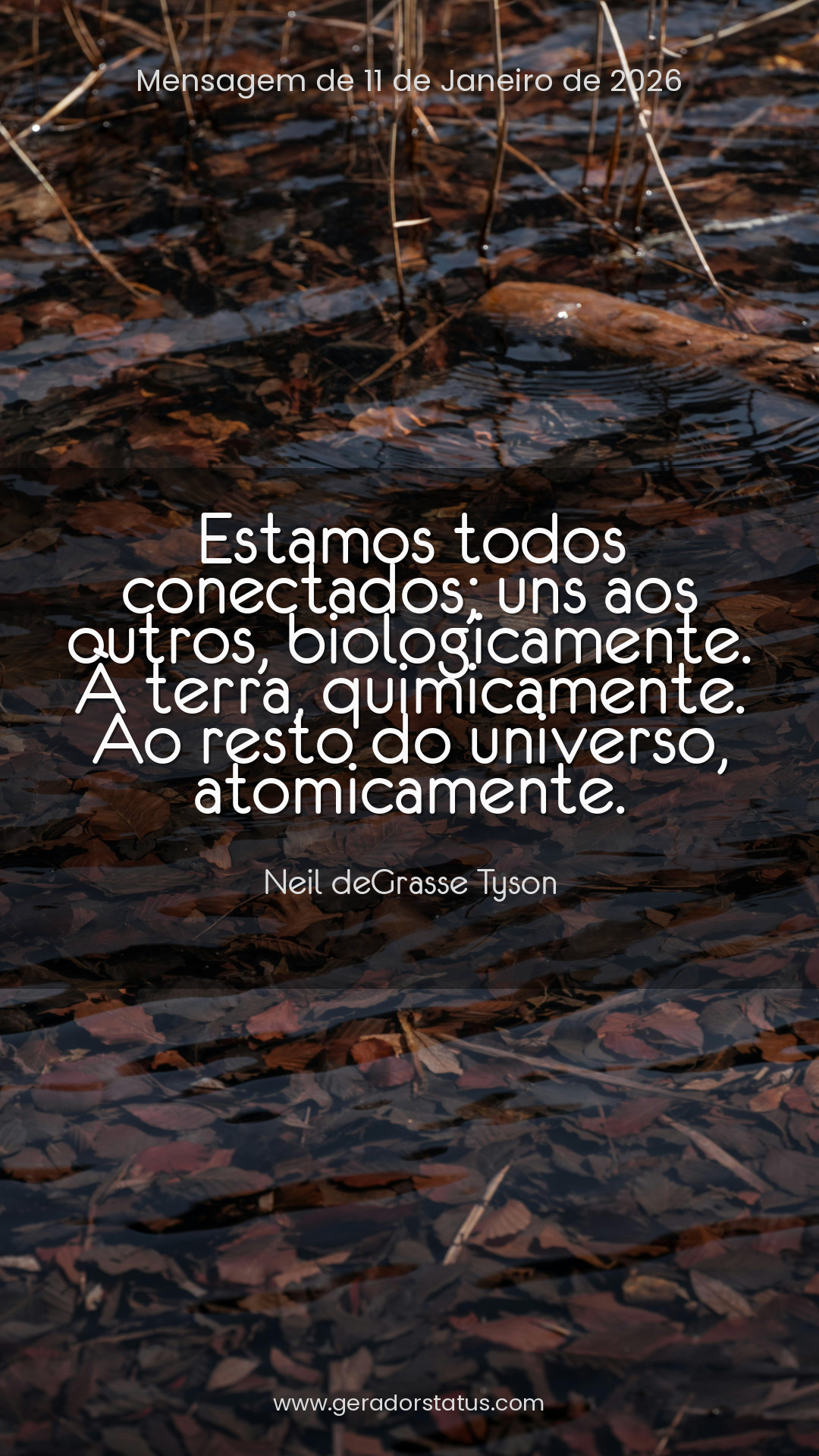 Status do dia: Citação