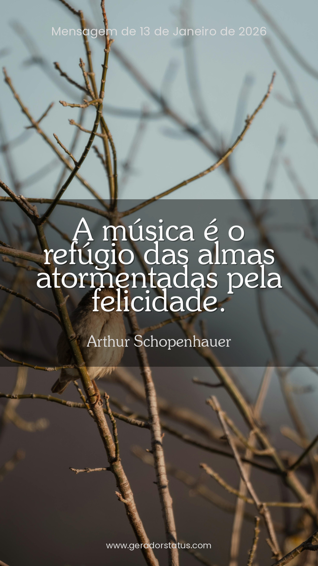 Status do dia: Citação