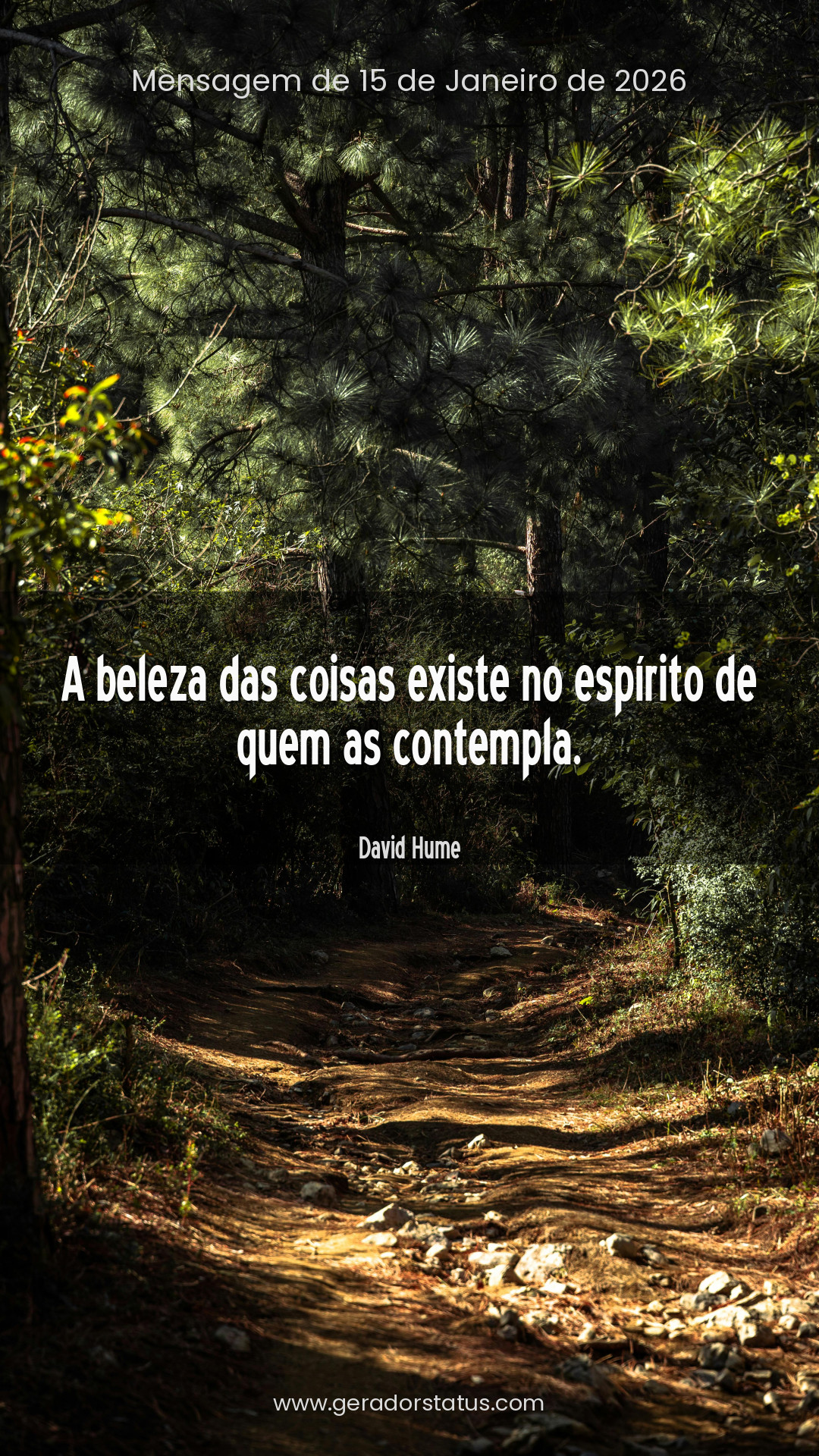 Status do dia: Reflexão