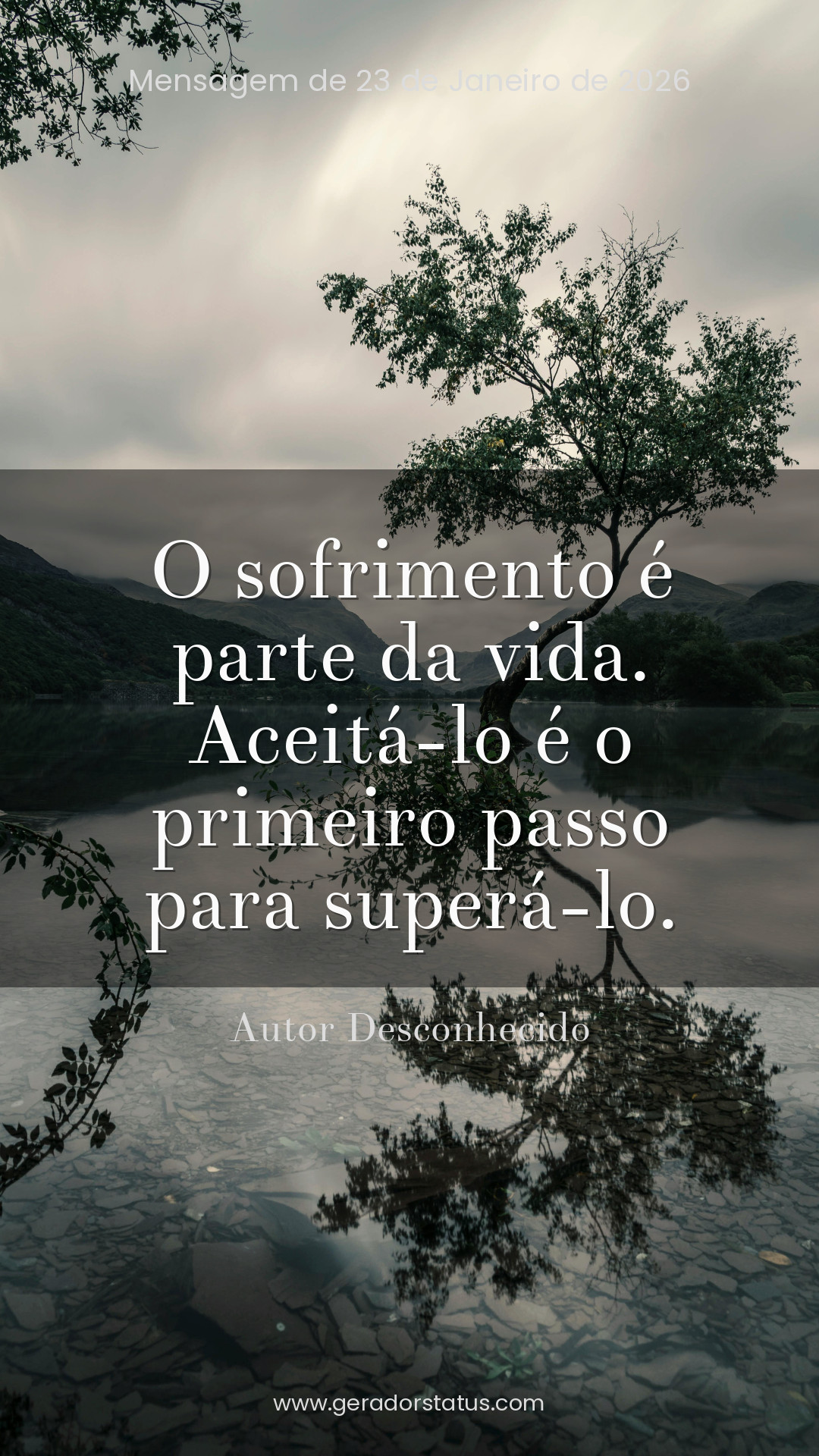 Status do dia: Reflexão