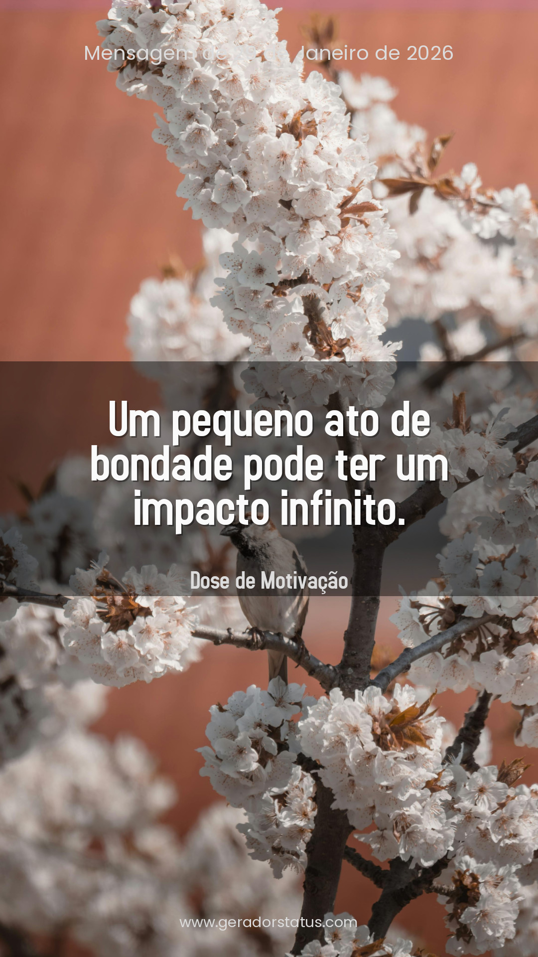 Status do dia: Motivacional