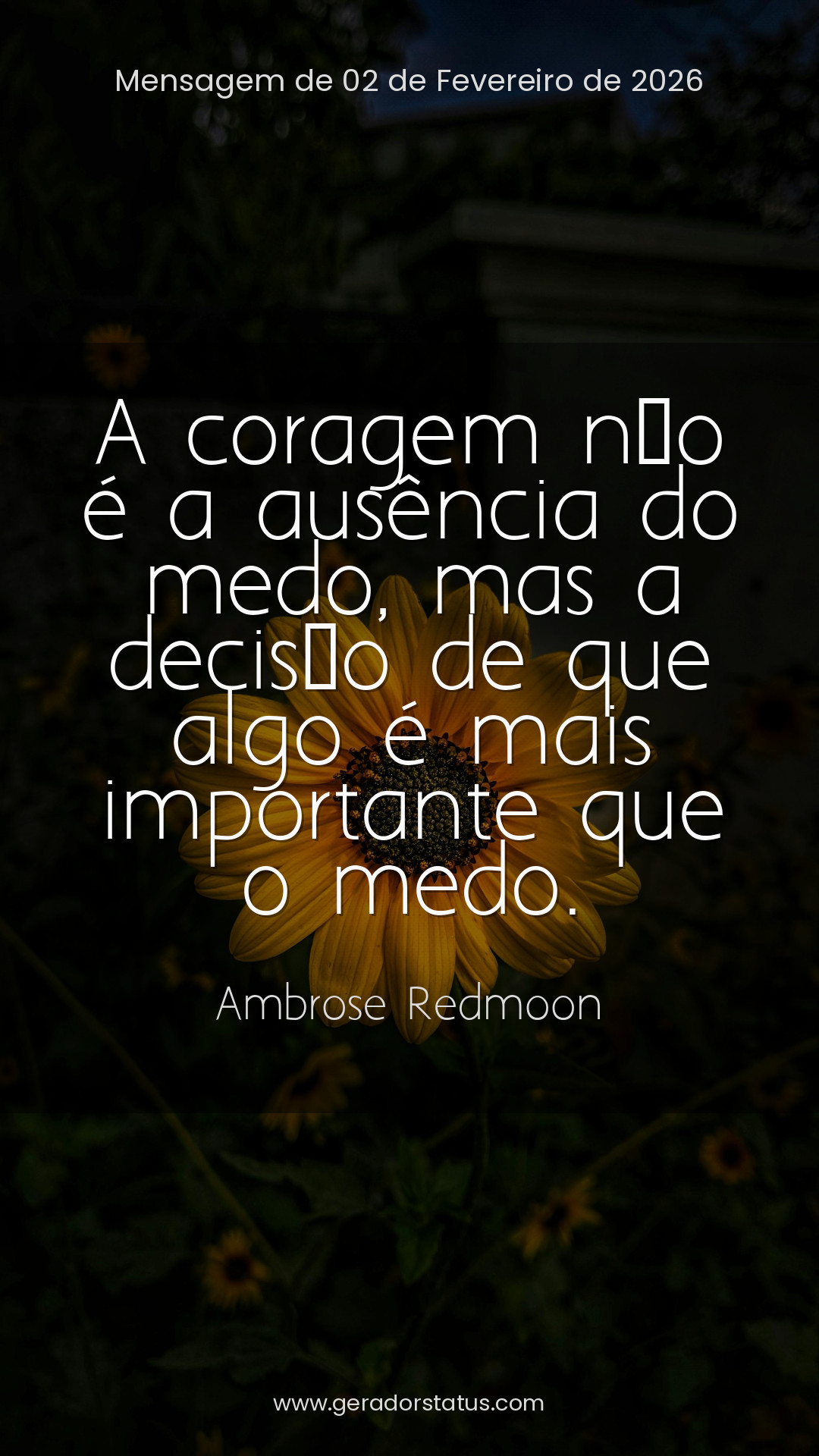 Status do dia: Reflexão