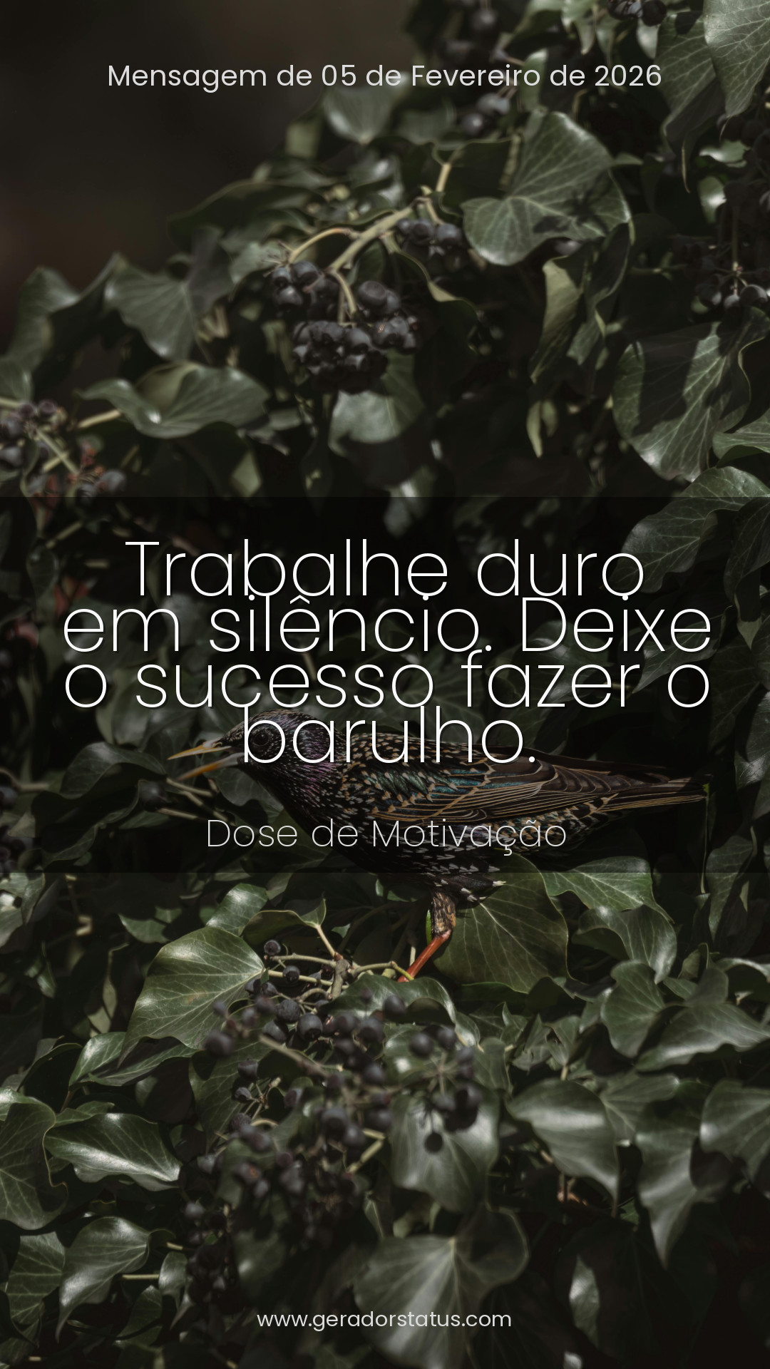 Status do dia: Motivacional