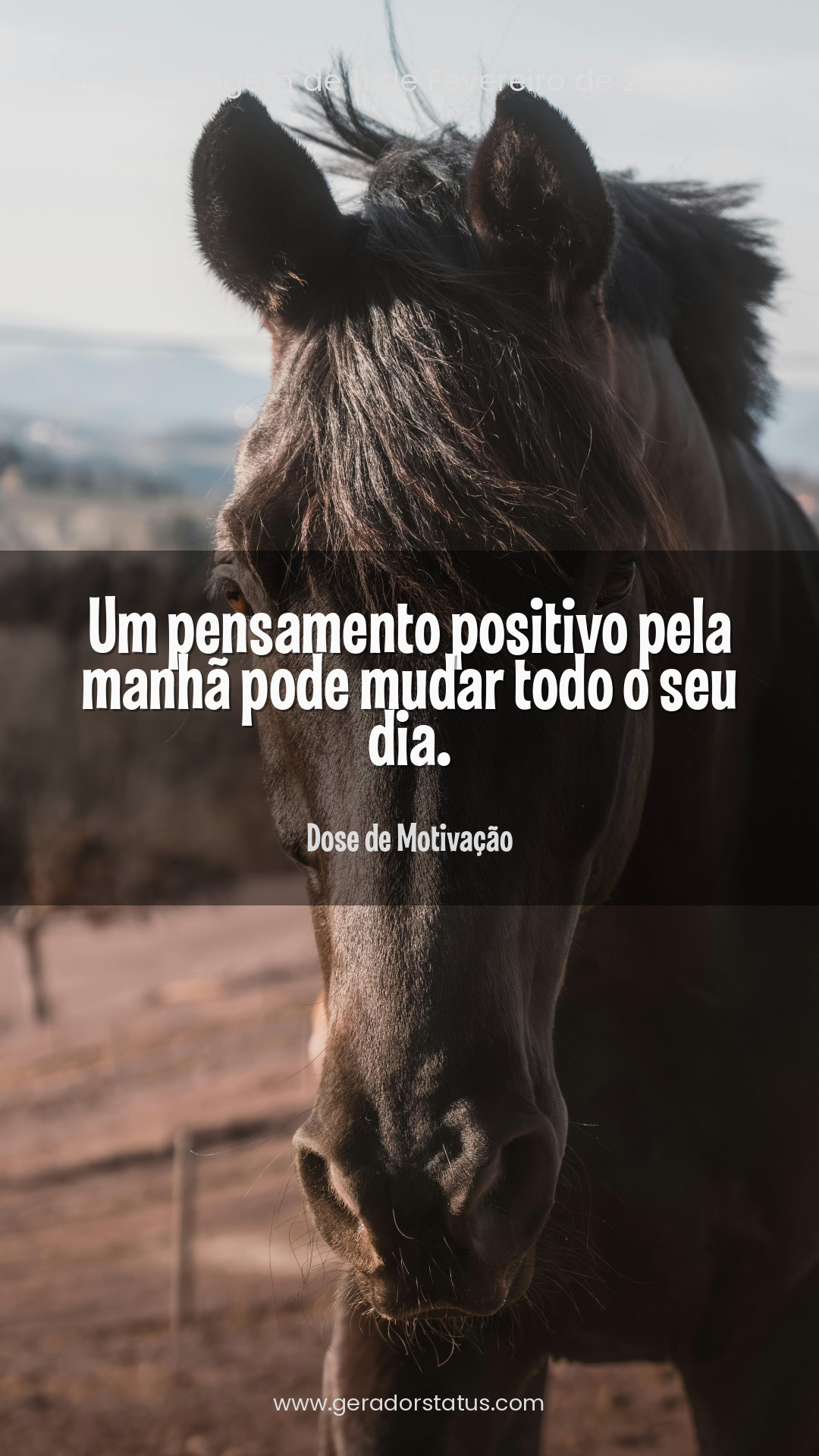 Status do dia: Motivacional