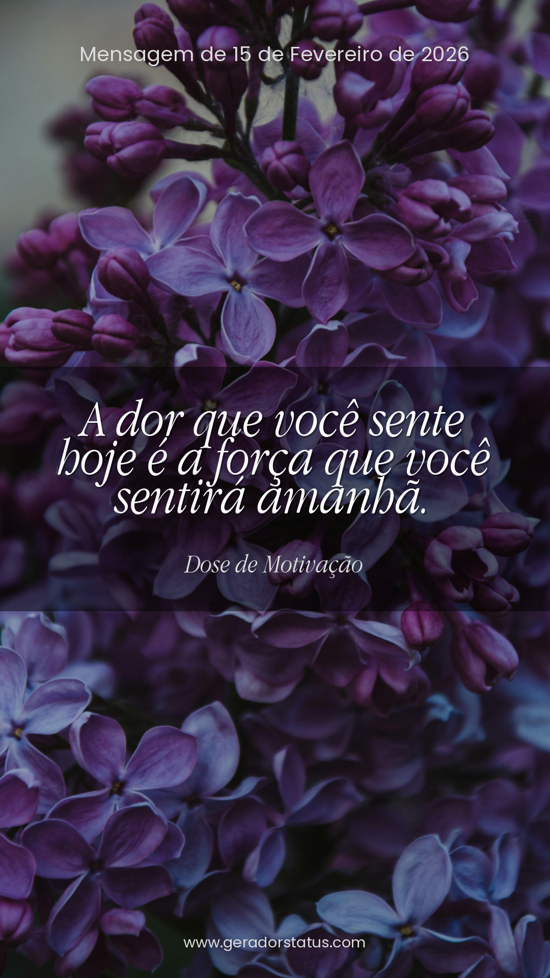 Status do dia: Motivacional