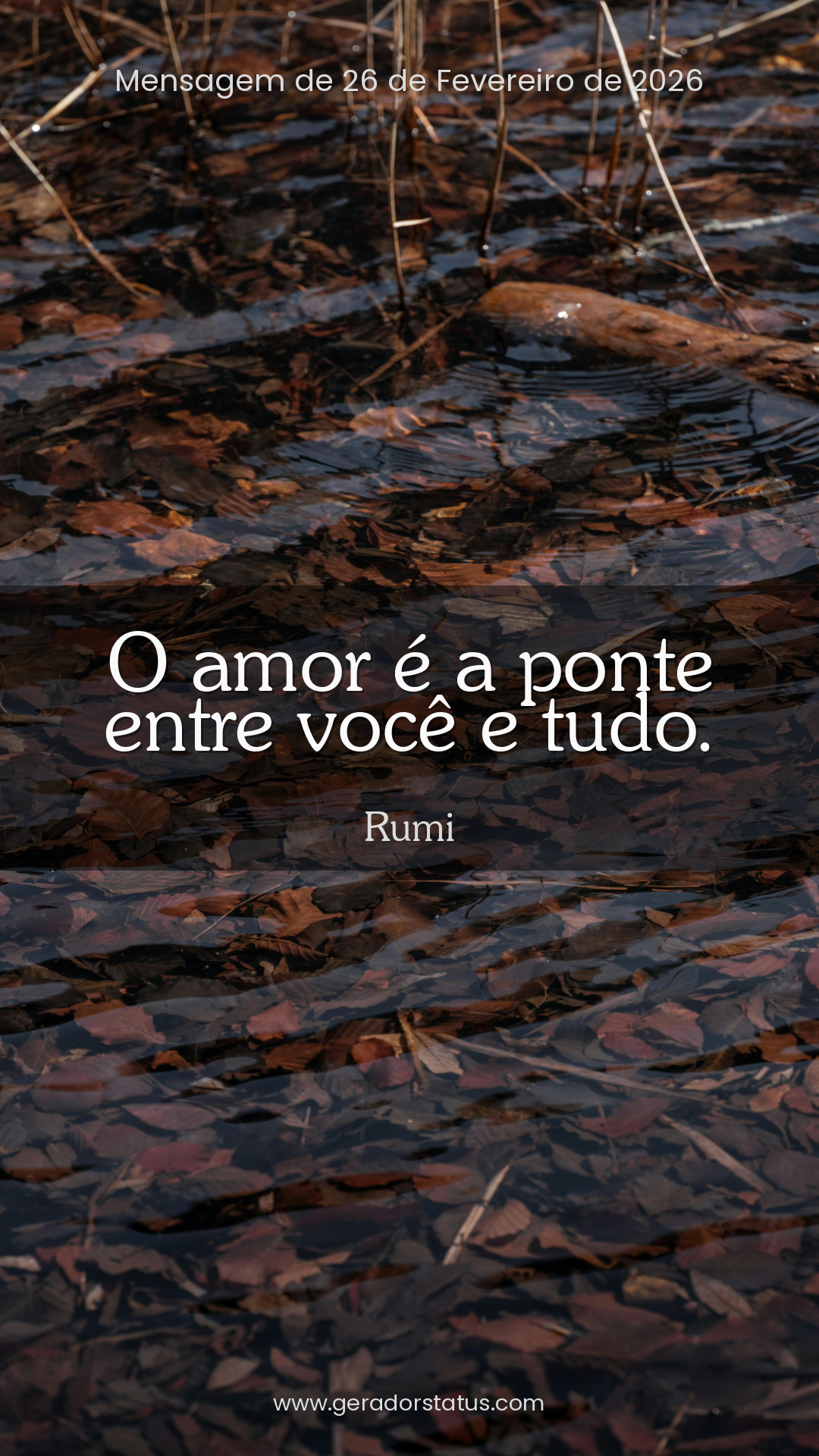 Status do dia: Reflexão