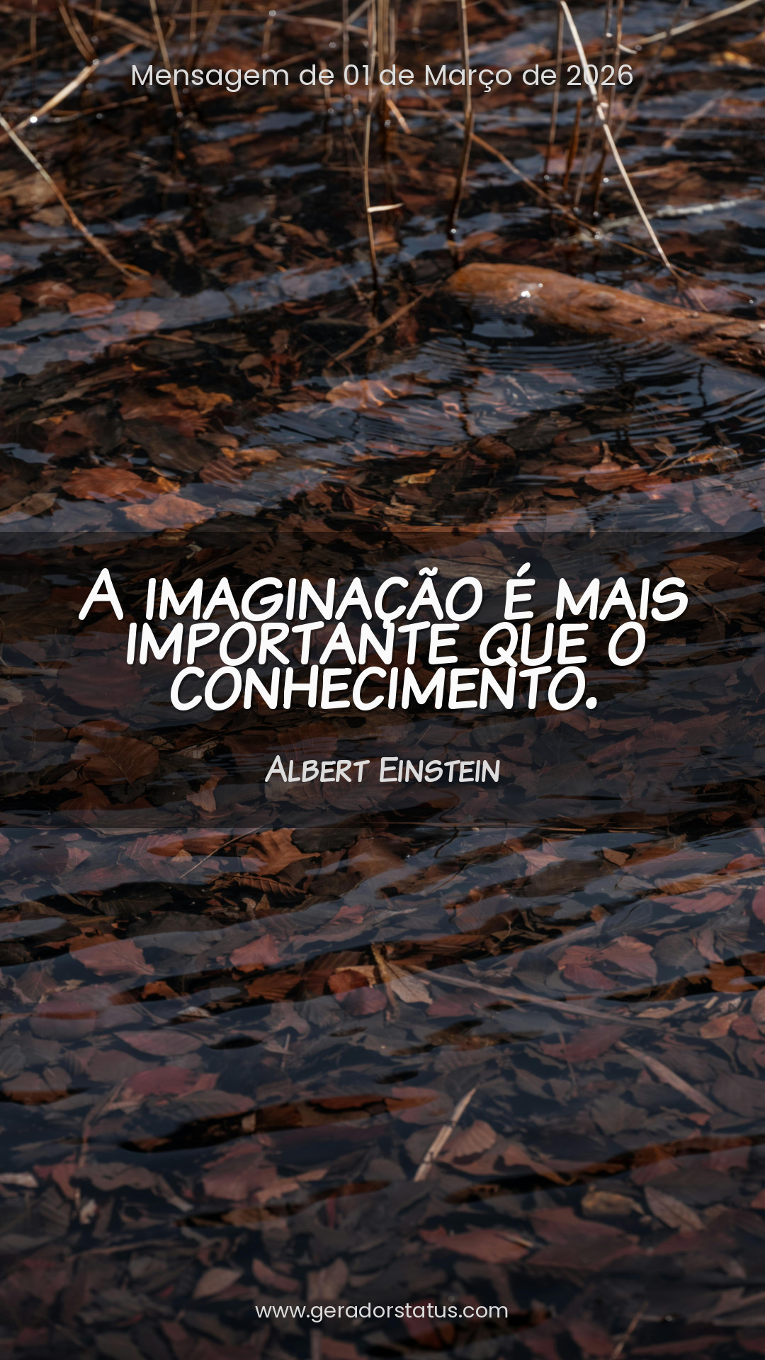 Status do dia: Citação