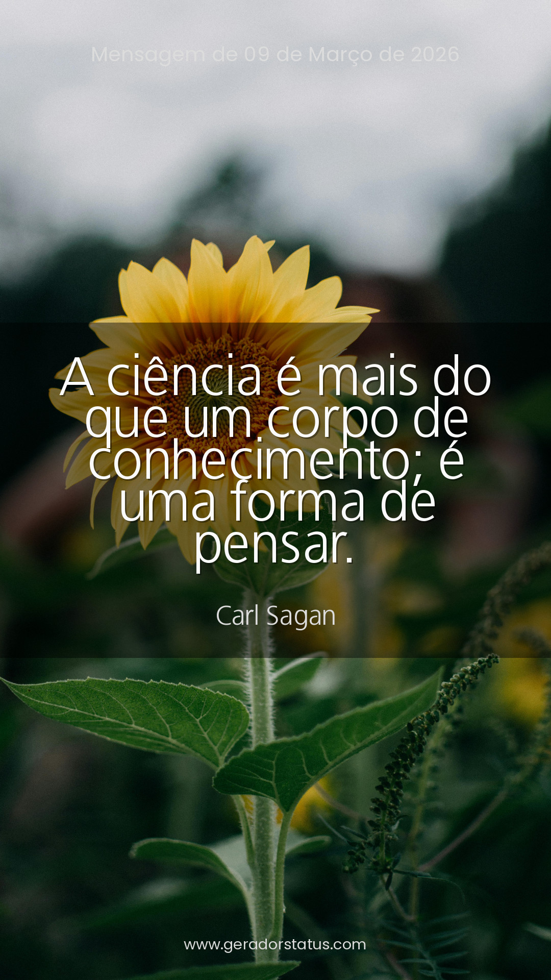 Status do dia: Citação