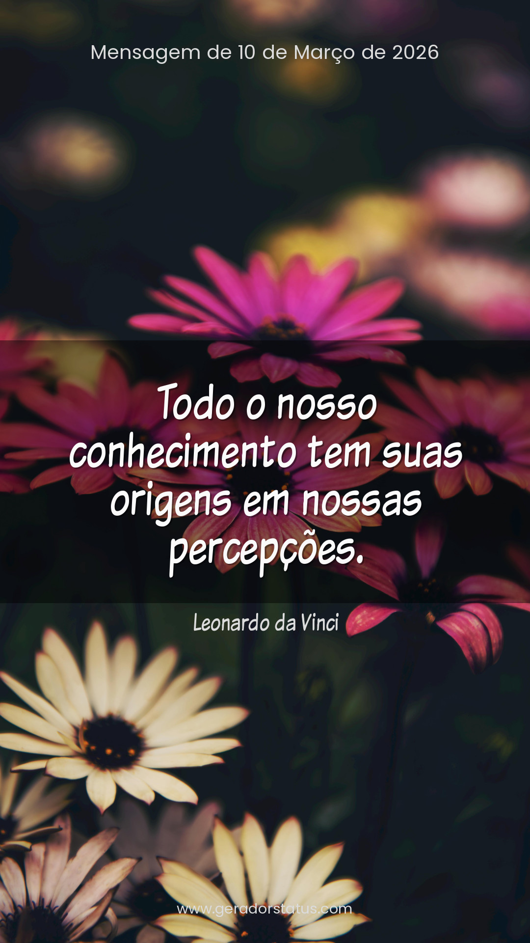 Status do dia: Reflexão