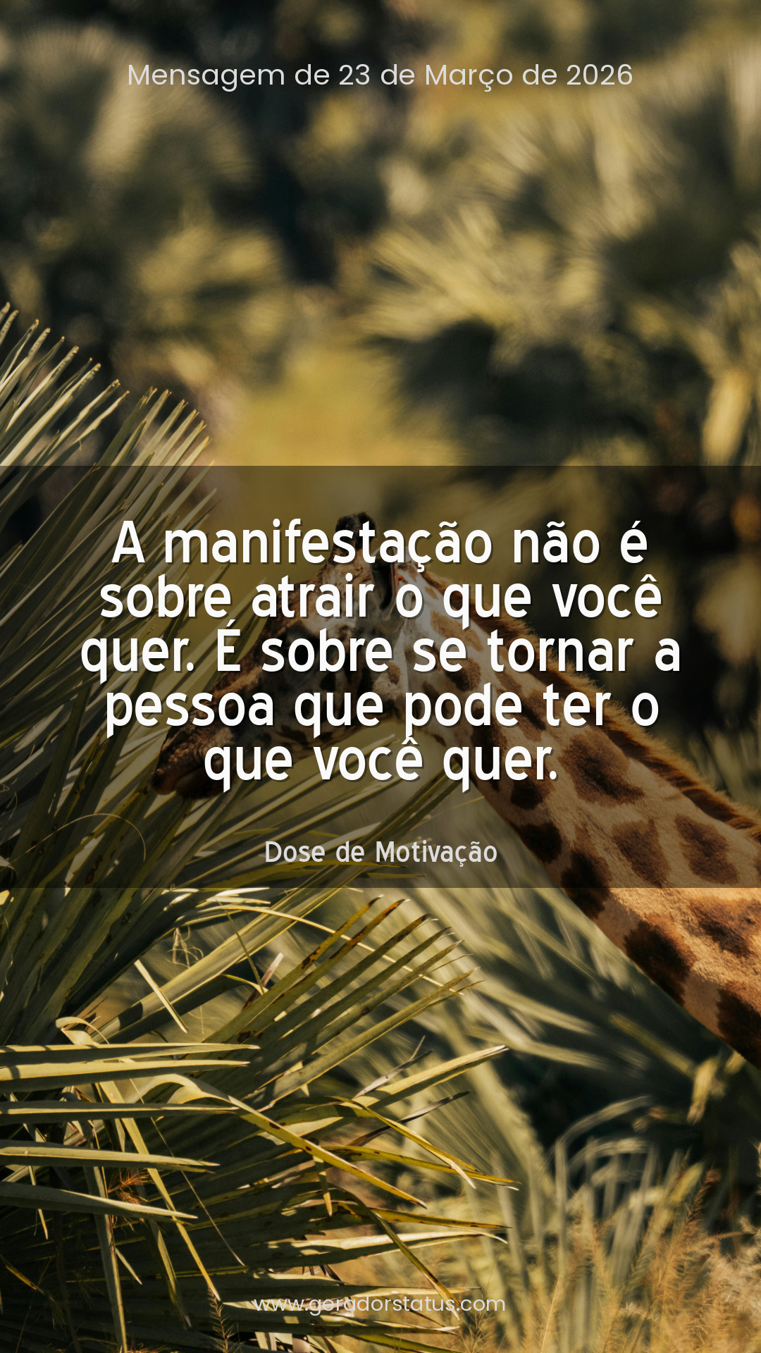 Status do dia: Motivacional