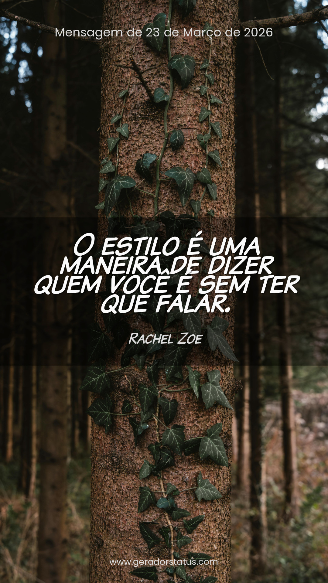 Status do dia: Citação