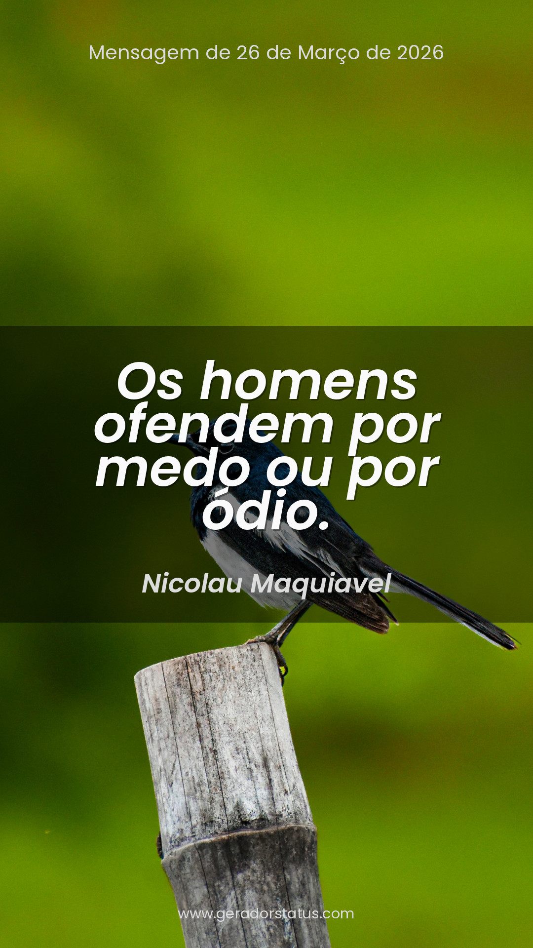 Status do dia: Sabedoria