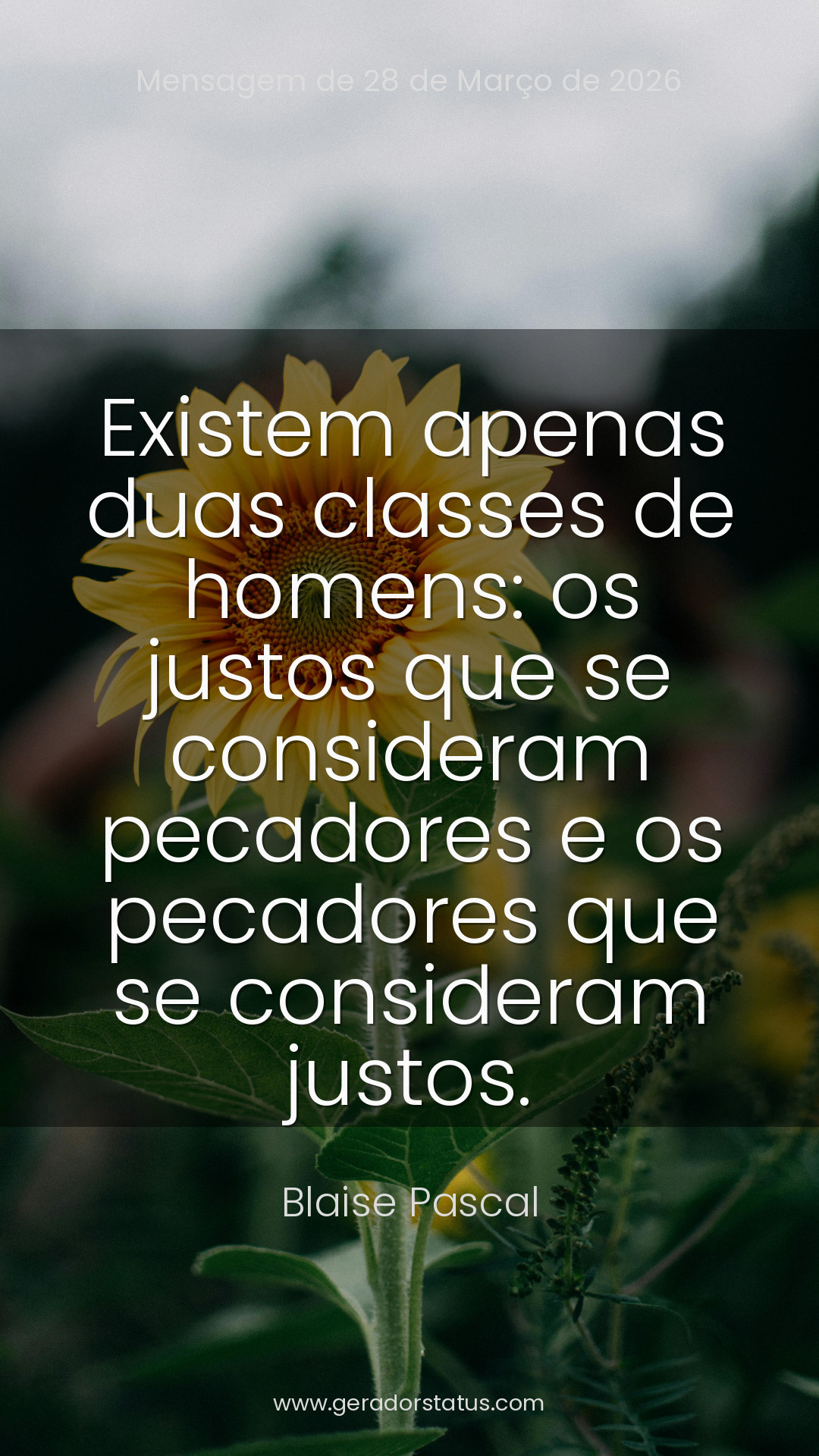 Status do dia: Reflexão