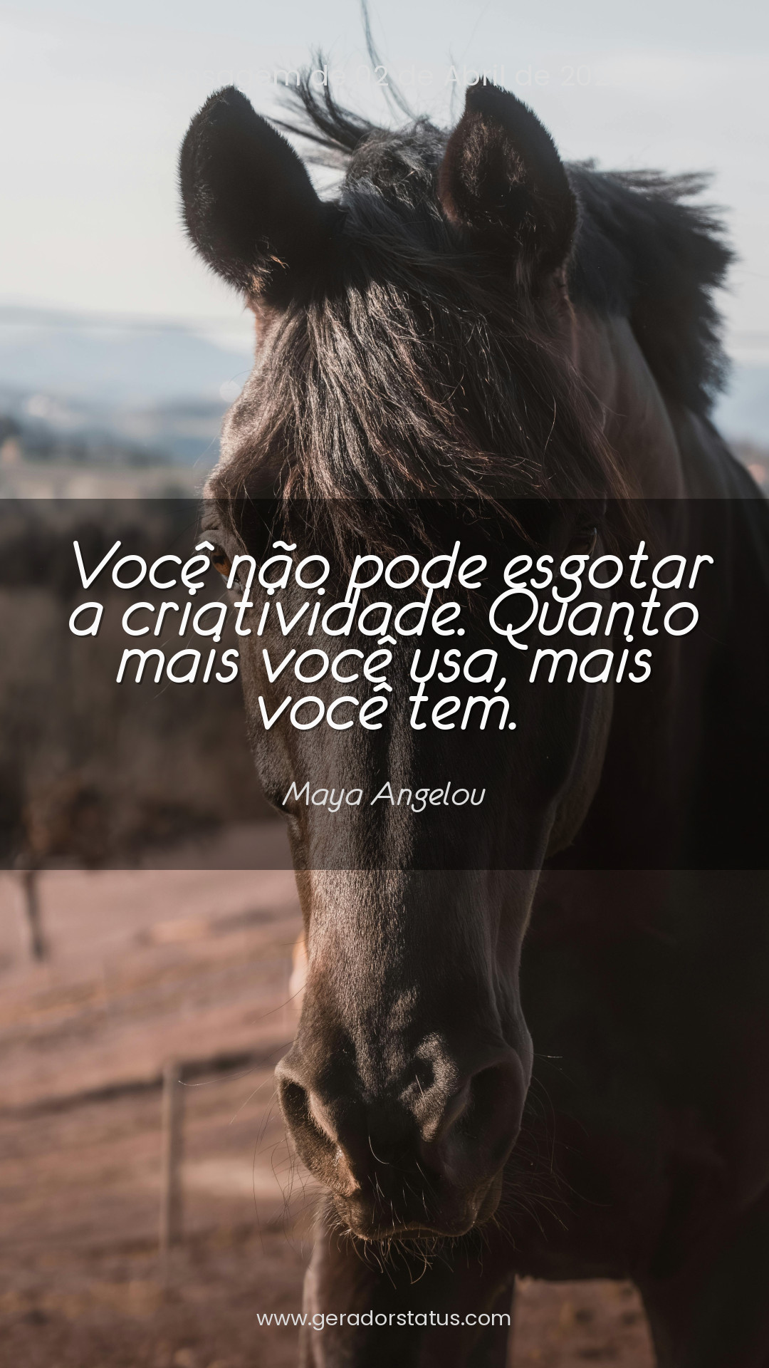 Status do dia: Reflexão