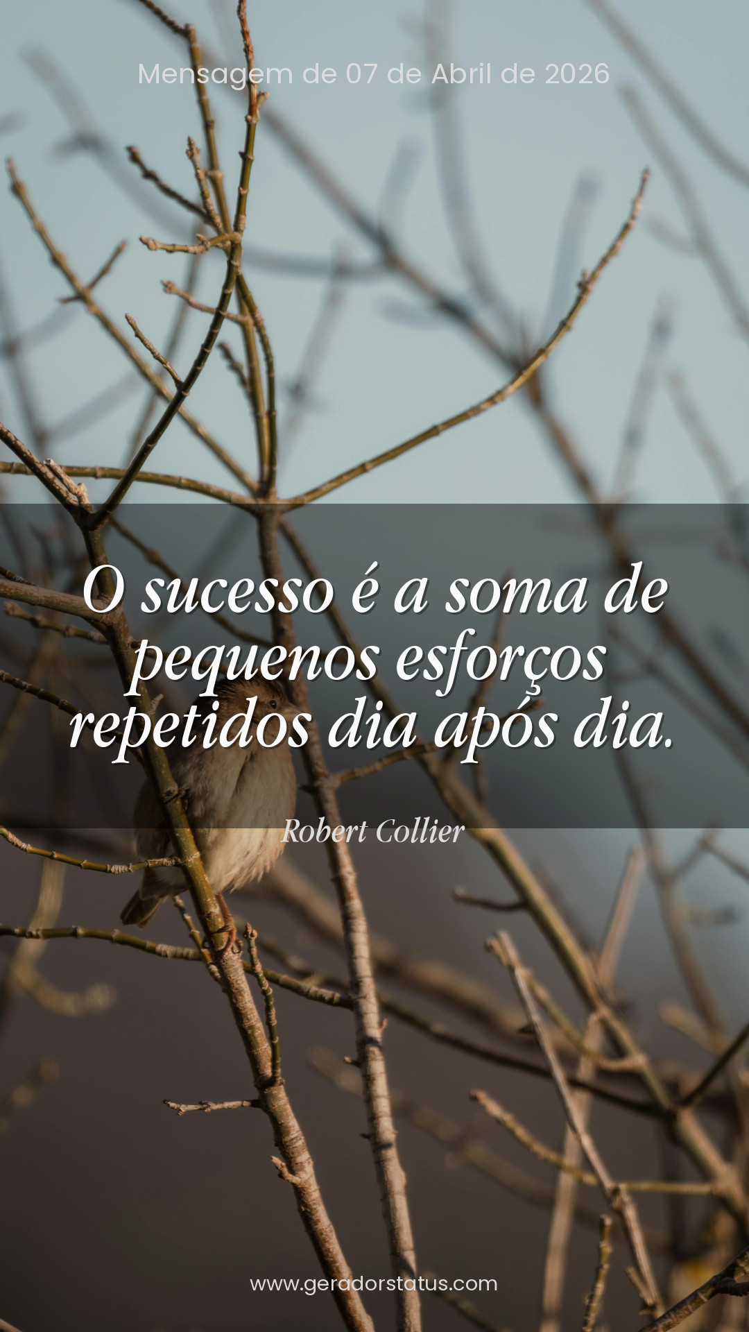 Status do dia: Sabedoria