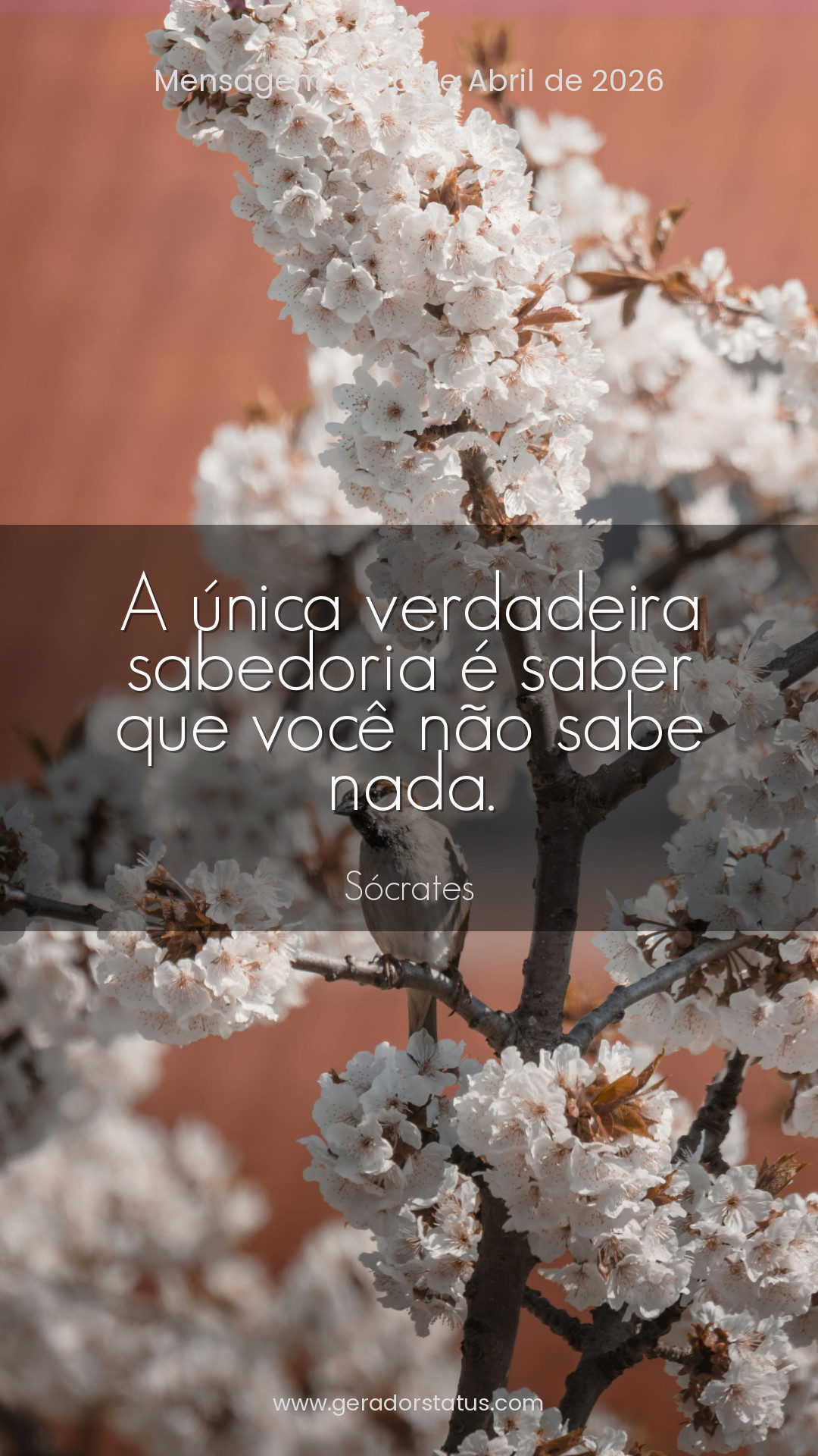 Status do dia: Citação