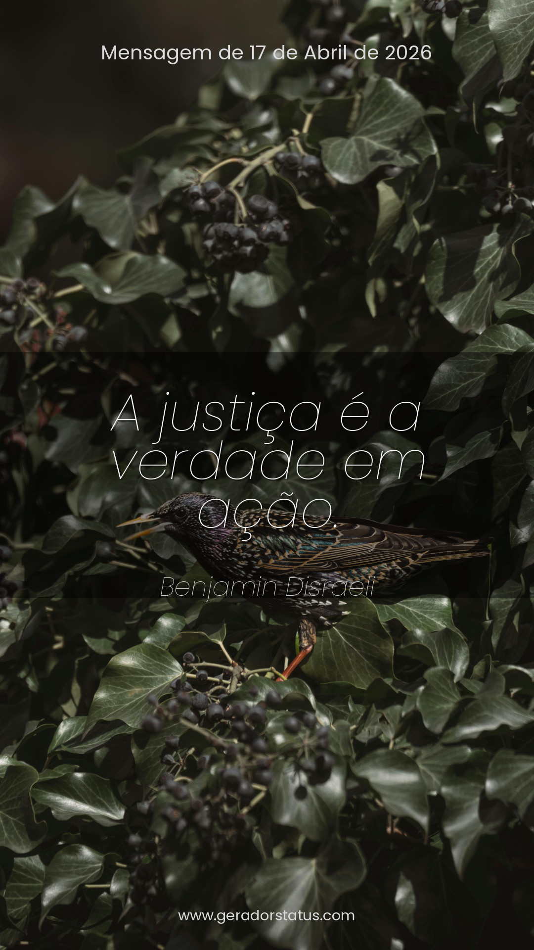 Status do dia: Citação