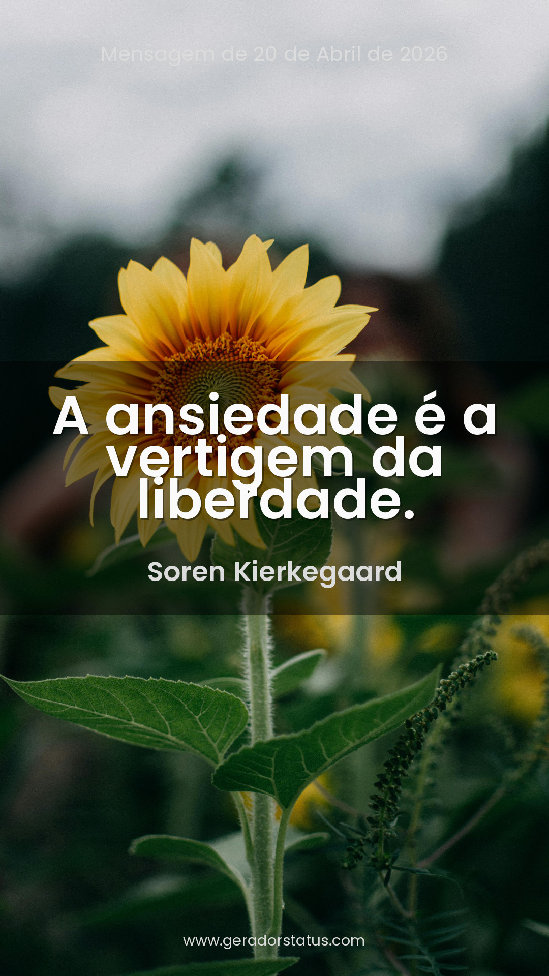 Status do dia: Reflexão