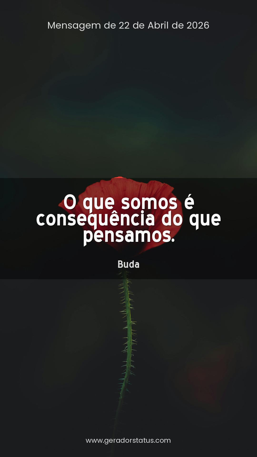 Status do dia: Reflexão
