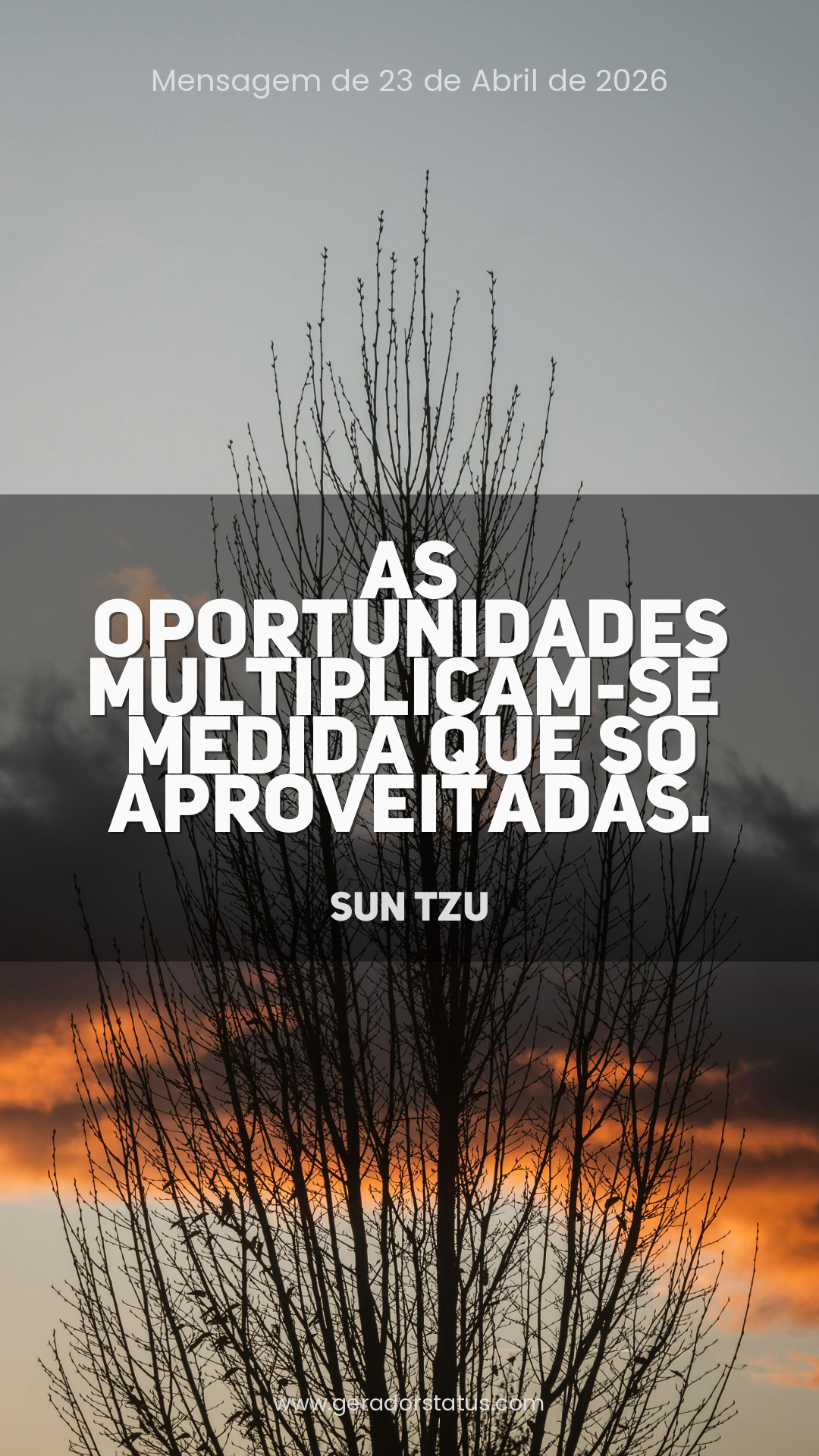 Status do dia: Sabedoria