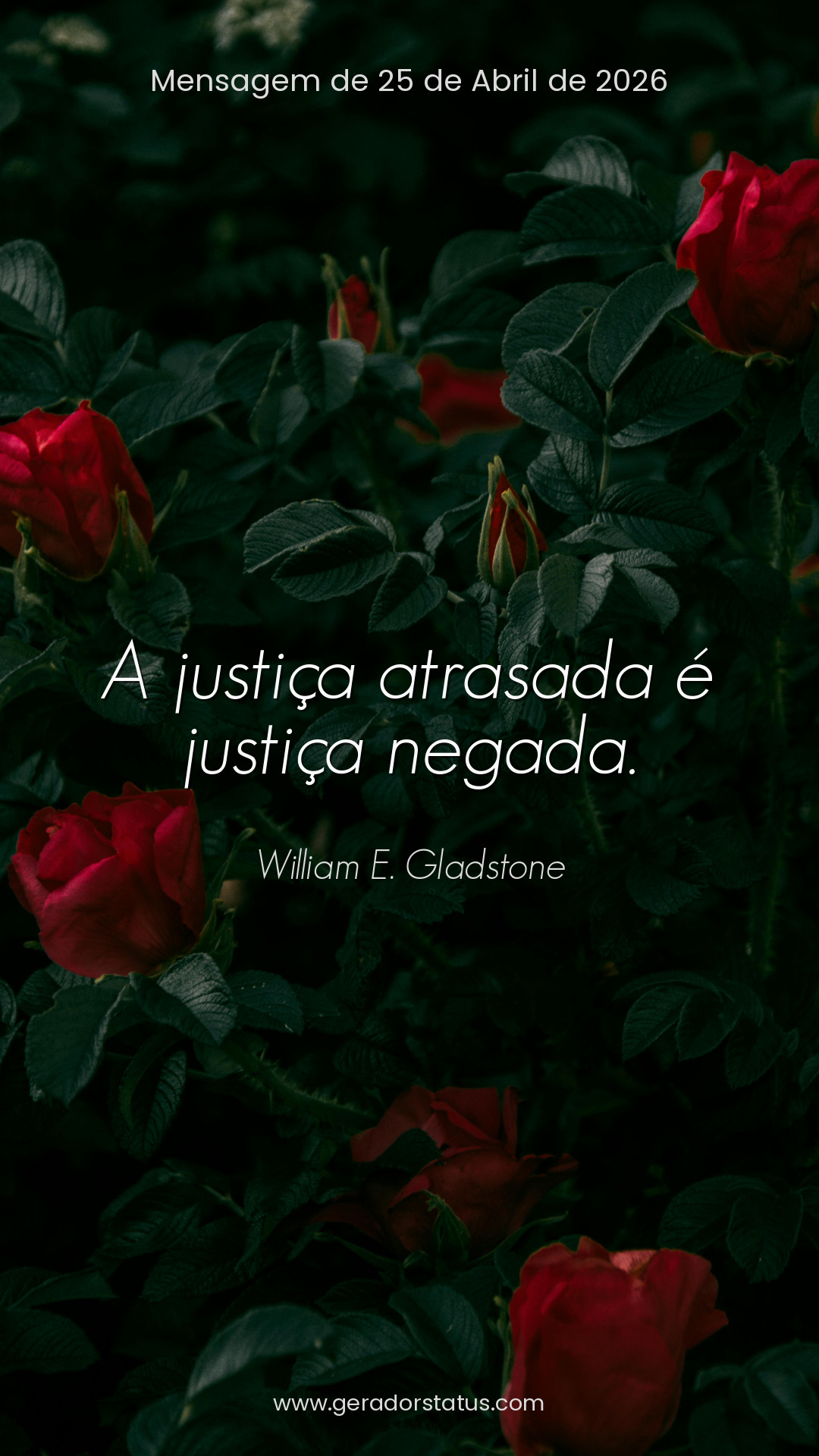 Status do dia: Citação