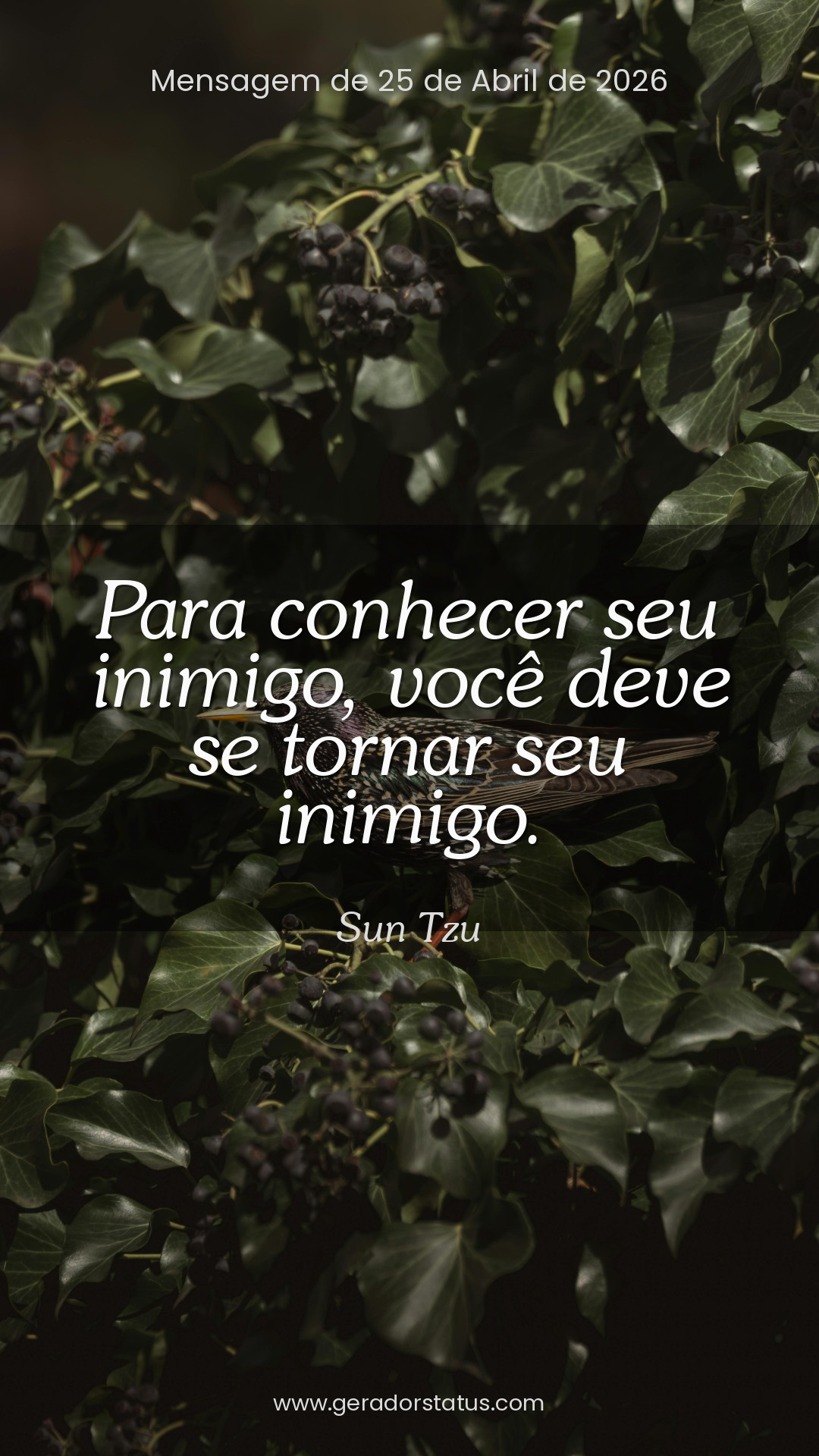 Status do dia: Sabedoria