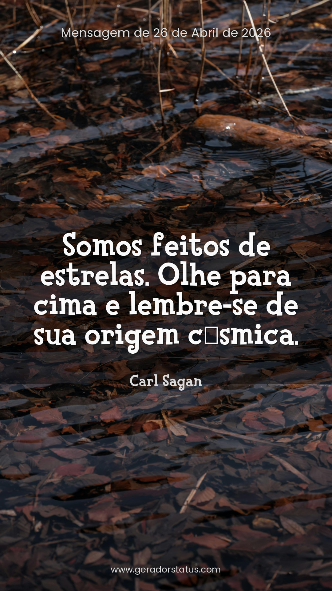 Status do dia: Reflexão